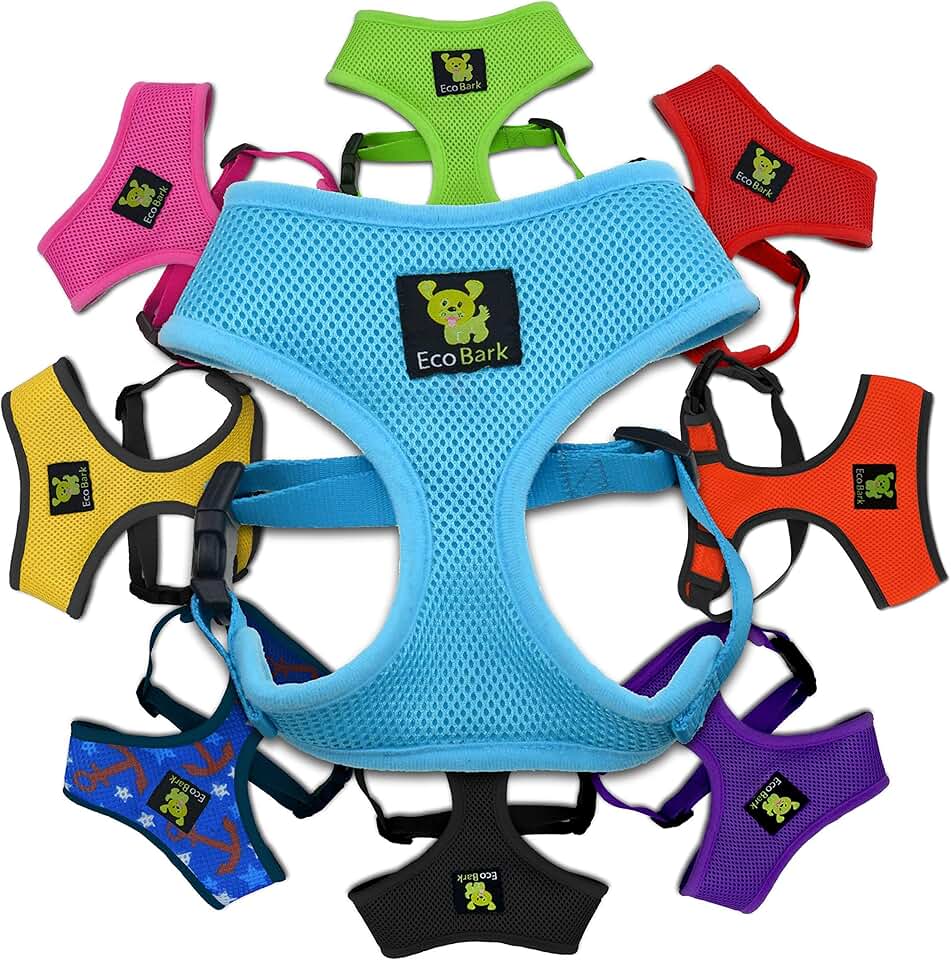 Top Paw Harness How To Put On Video
