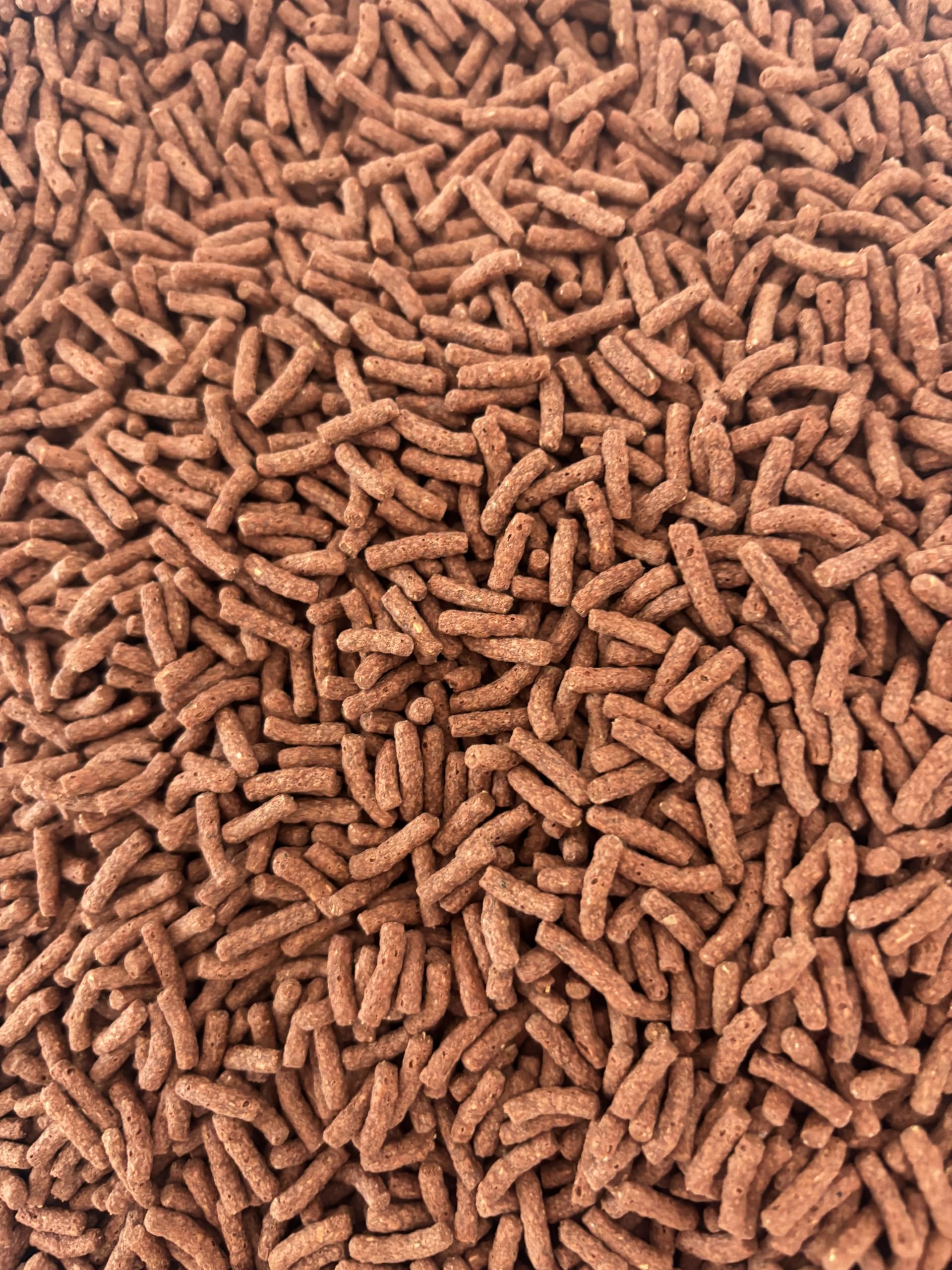 Futtersticks für Cichliden – Premium Hauptfutter für gesunde & farbenprächtige Fische (10000 Gramm)