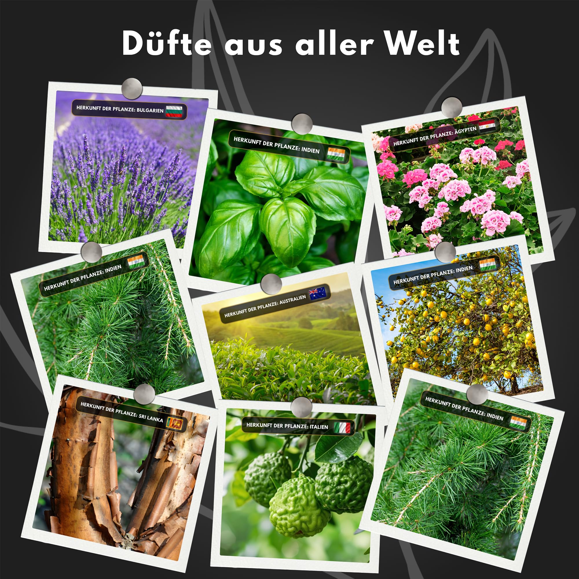 12er Set Ätherische Öle BIO 100% natürlich – Aromatherapie & Wellness – Essential Oil Set 12 × 10ml, zertifiziertes Öl aus Indien