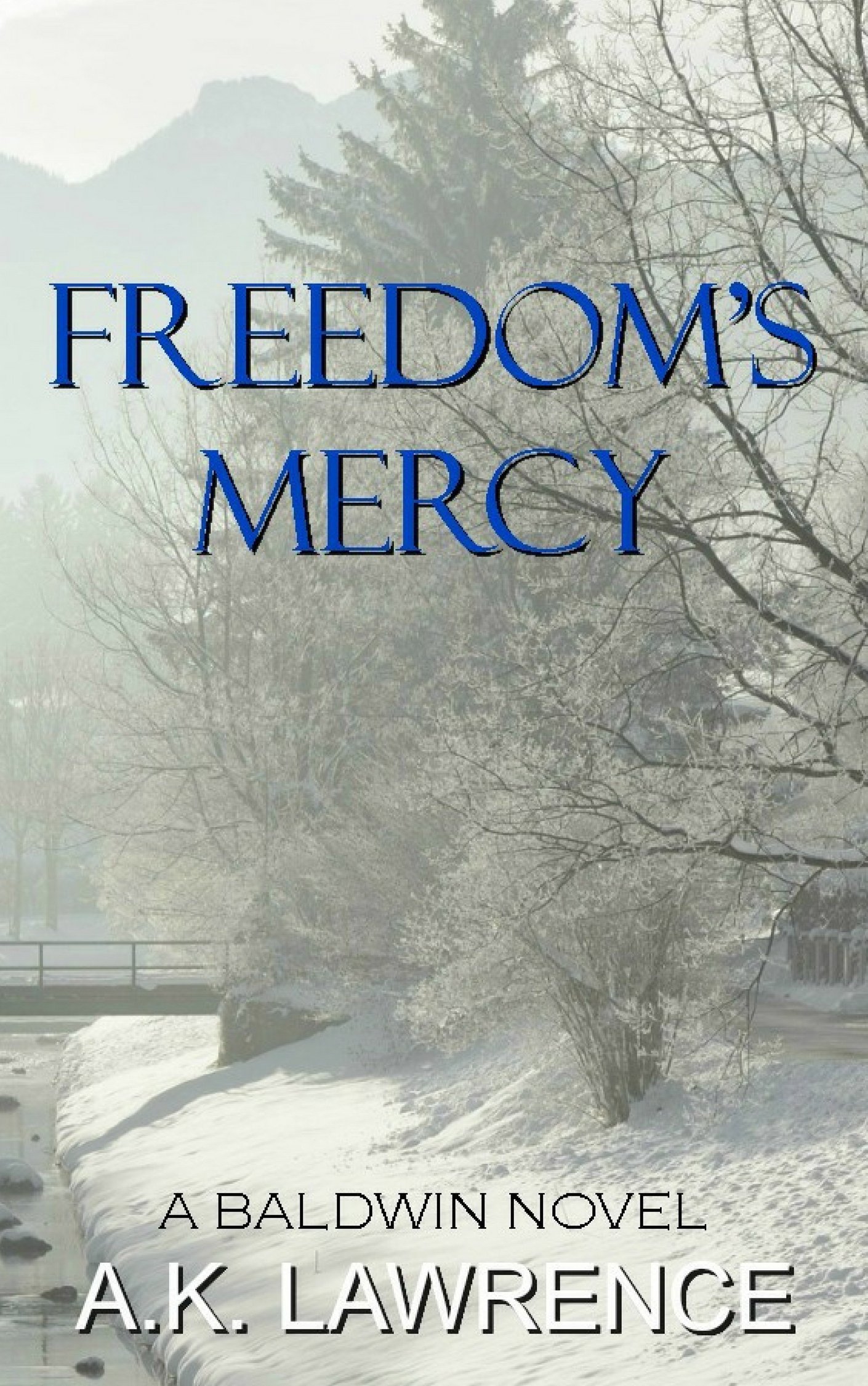 Freedom's Mercy (The Baldwin Series Book 3)