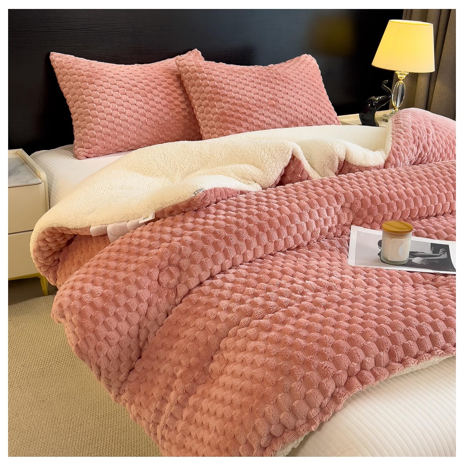 RDIAYDN Warmth Thicker Quilt Comforter, Soft Thick Warm Blanket, Fluffy Plush Comforter Blanket Quilt, Warm Lambswool Quilt Core, Warm Double-Sided Velvet Quilt(F,220x240cm/5.7kg)