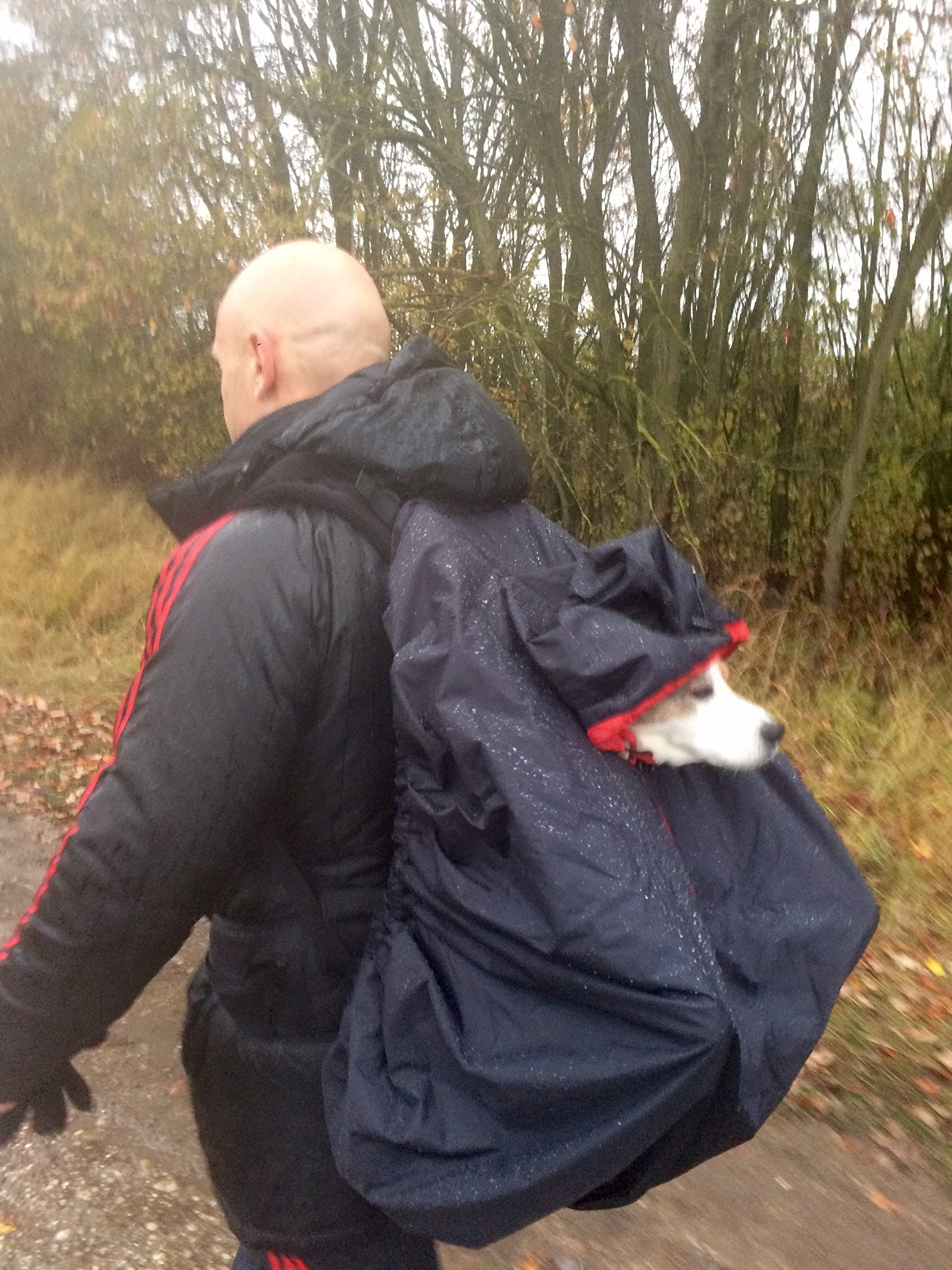 PREMIUM patented DOG CARRIER Pet Carrier per cani e gatti per cani sacchetto del cane vettore cane borsa per cani da 5-10 kg