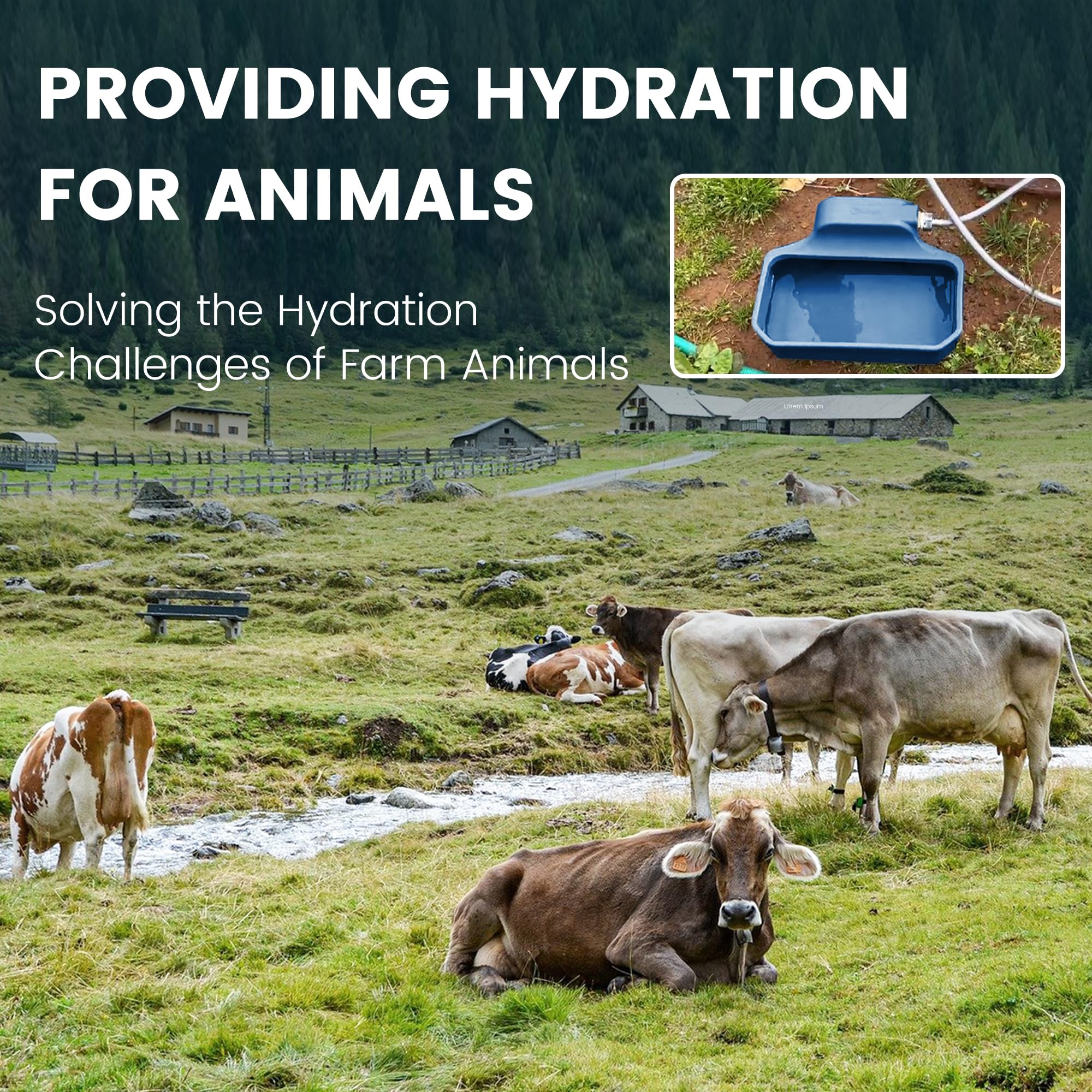 PETIMI Dispensador automático de agua para perros/gatos, dispensador de cuenco de agua de llenado automático de 1 galón para interiores y exteriores, comedero de agua grande para mascotas/ganado, sin
