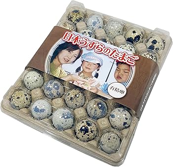 福山雅治/EGGS 福山雅治オフィシャルサイト