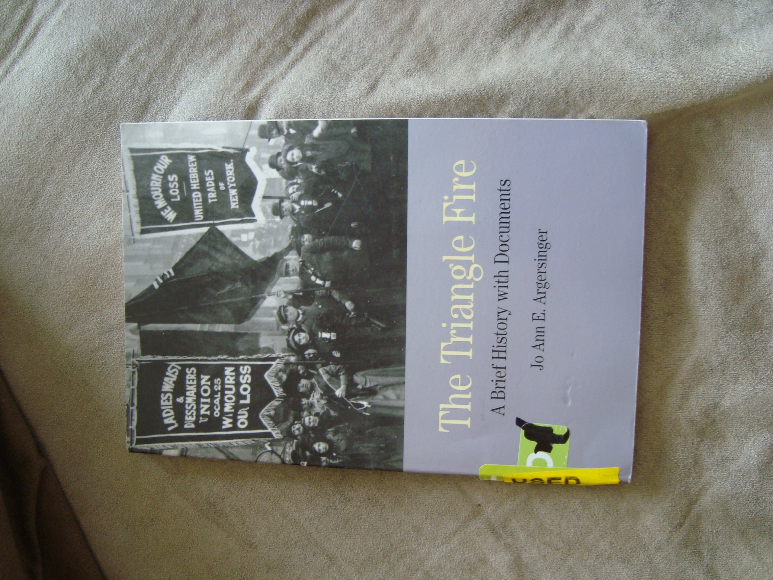 The Triangle Fire: A Brief History with Documents (Bedford Series in History and Culture)