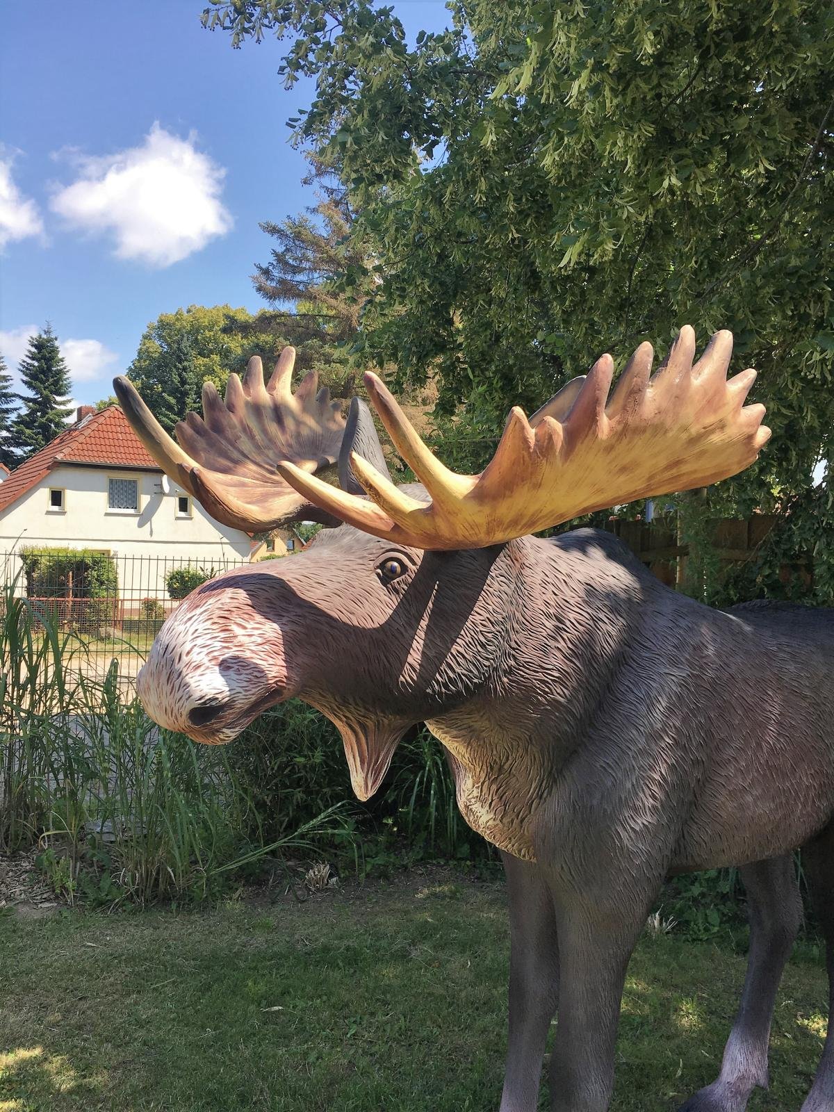 Lebensgroßer Elch Elche Lebensgroße Tiere Rudolph Rentier EDlchkuh Elchbulle Elchkalb
