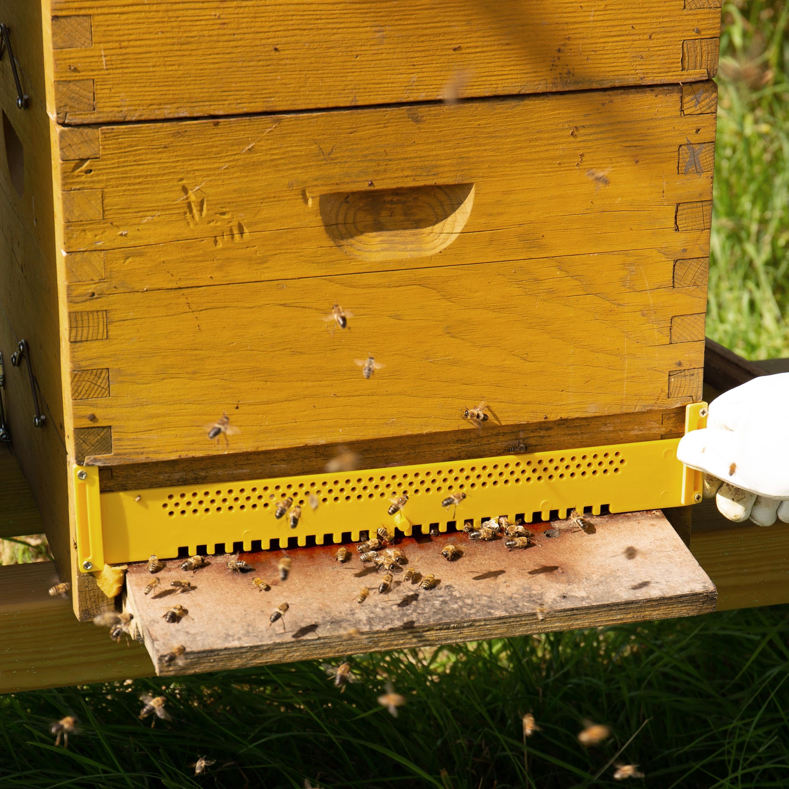 Porte pour Ruche 5 pièces Plastique Réducteur de Trou d'entrée pour Abeilles Longueur 410mm x 50mm avec charnières pour la Fixation