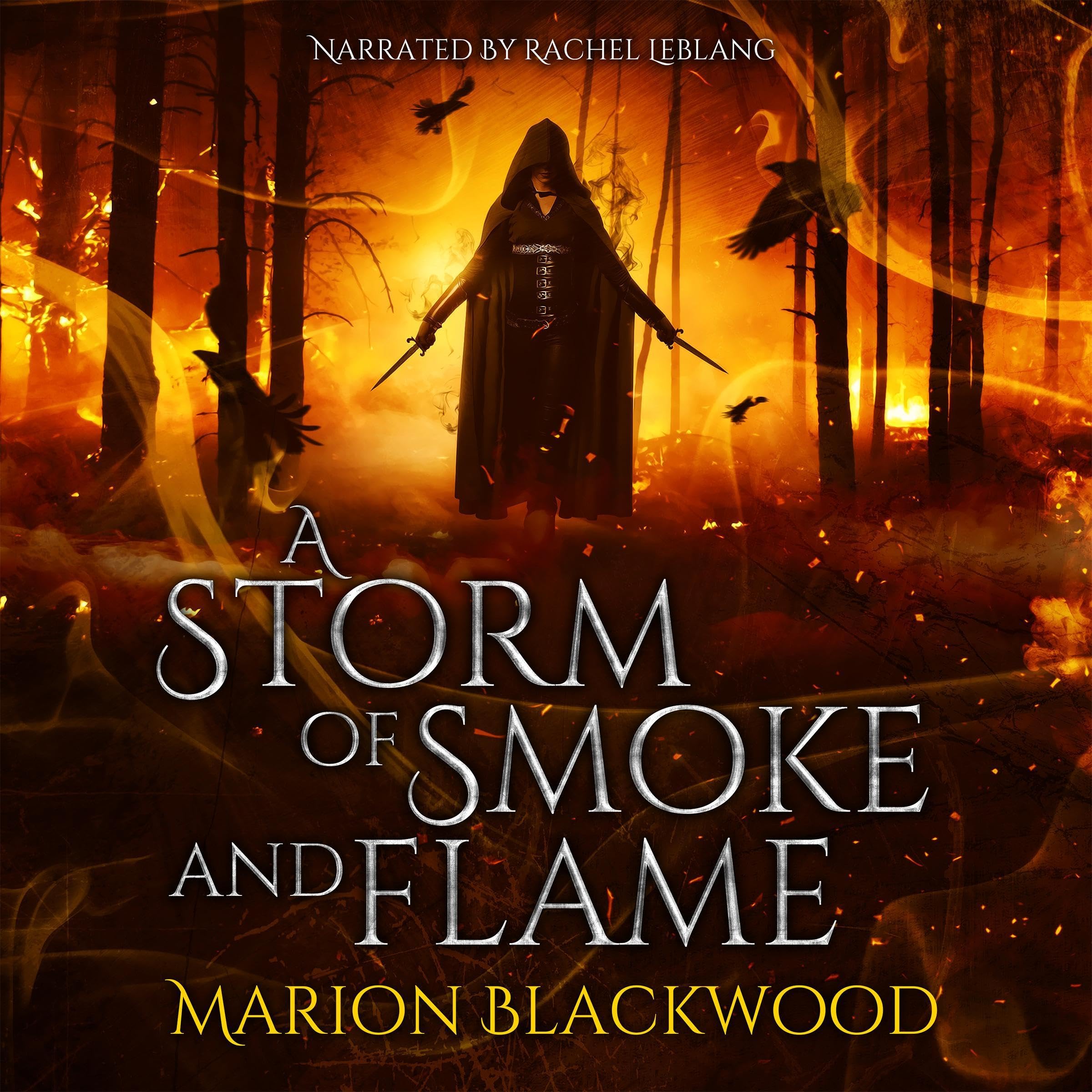 Cover art for A Storm of Smoke and Flame