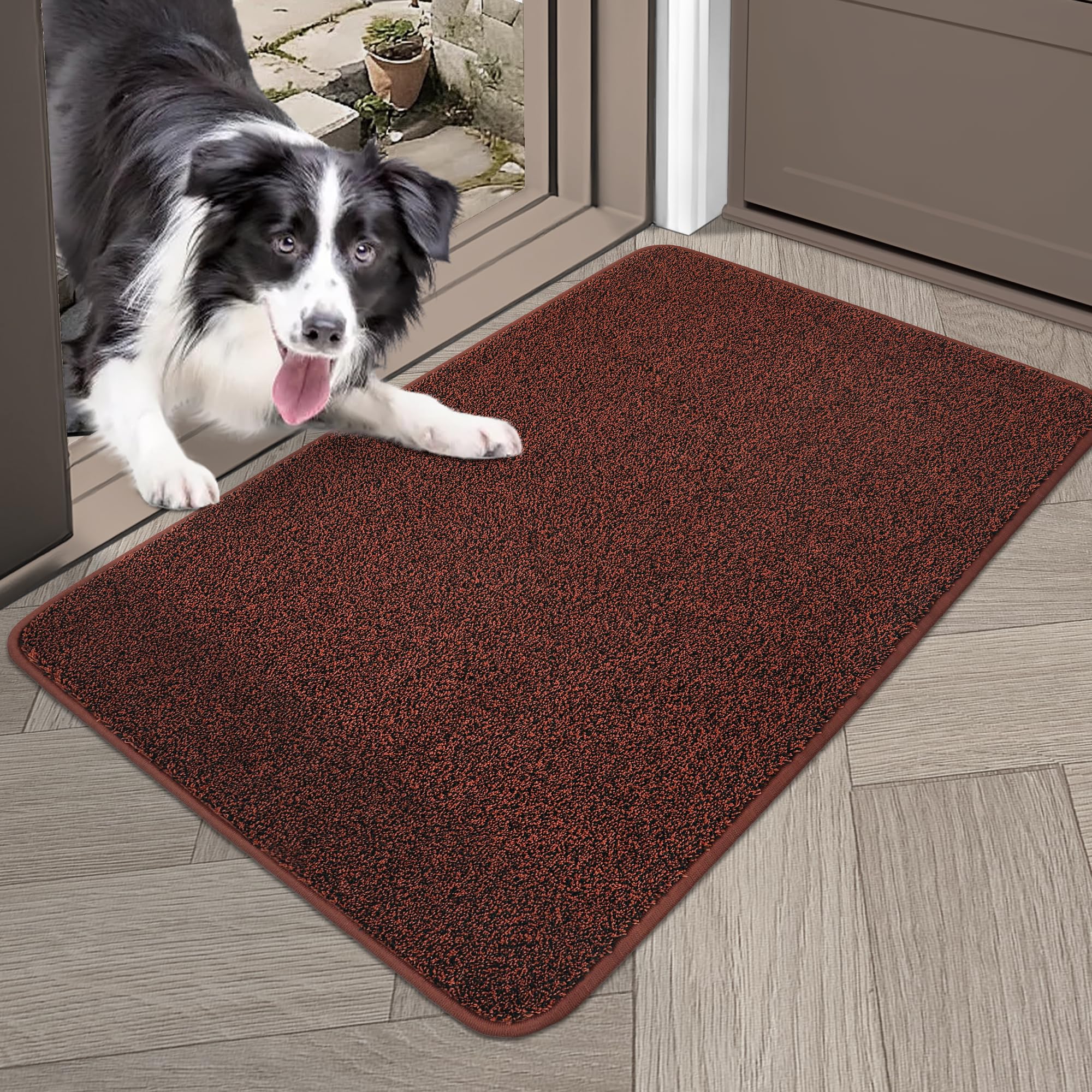 COSY HOMEER Nonslip Door Mats Indoor