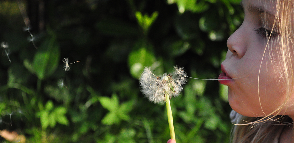 Photo Editor Camera Effects App on Amazon Appstore