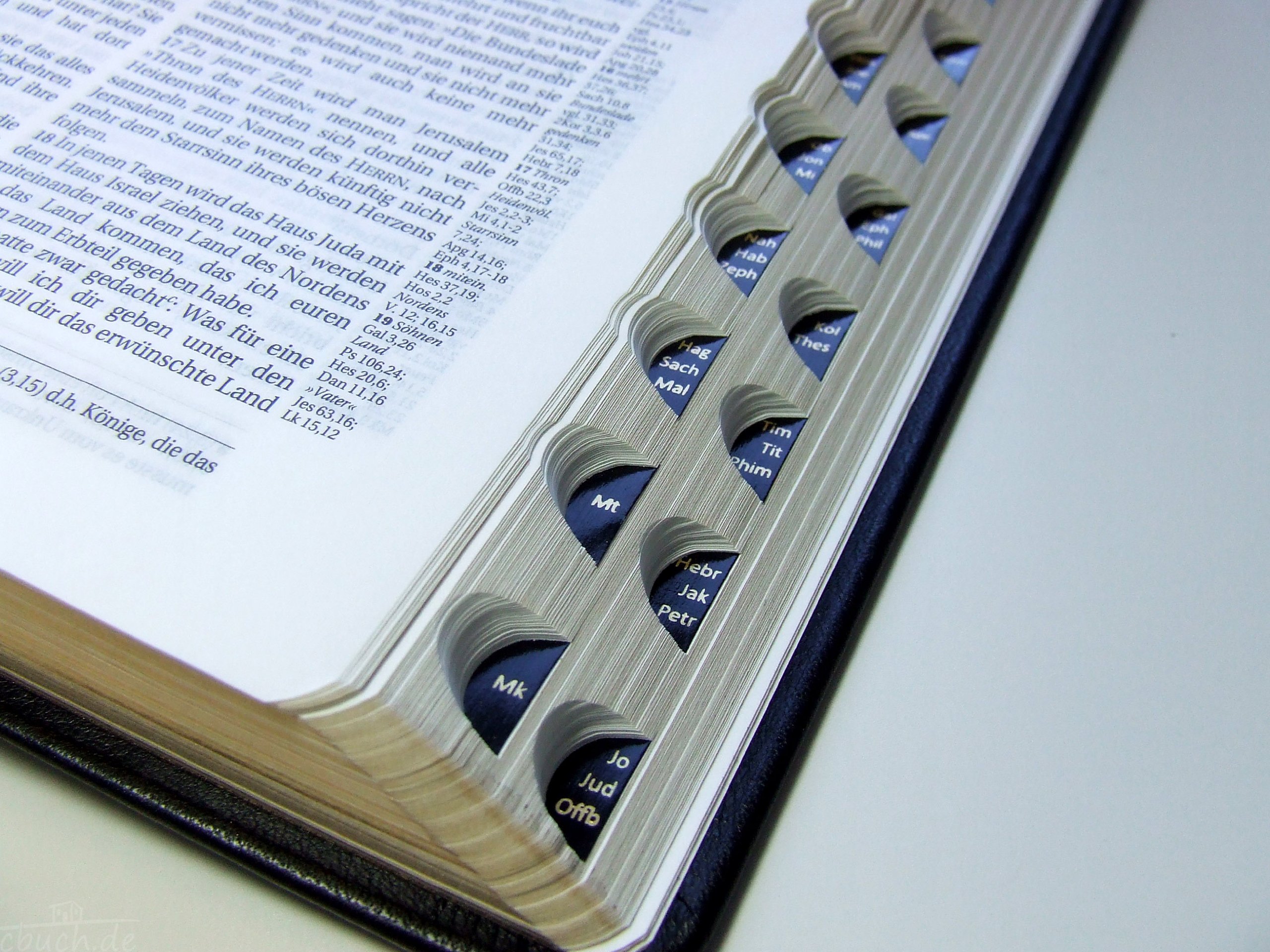 Schlachter 2000 Bibel - Taschenausgabe (Softcover, schwarz, Goldschnitt, Griffregister): Taschenausgabe mit Parallelstellen, Kalbsleder-Einband ... / neue Rechtschreibung / Fadenheftung