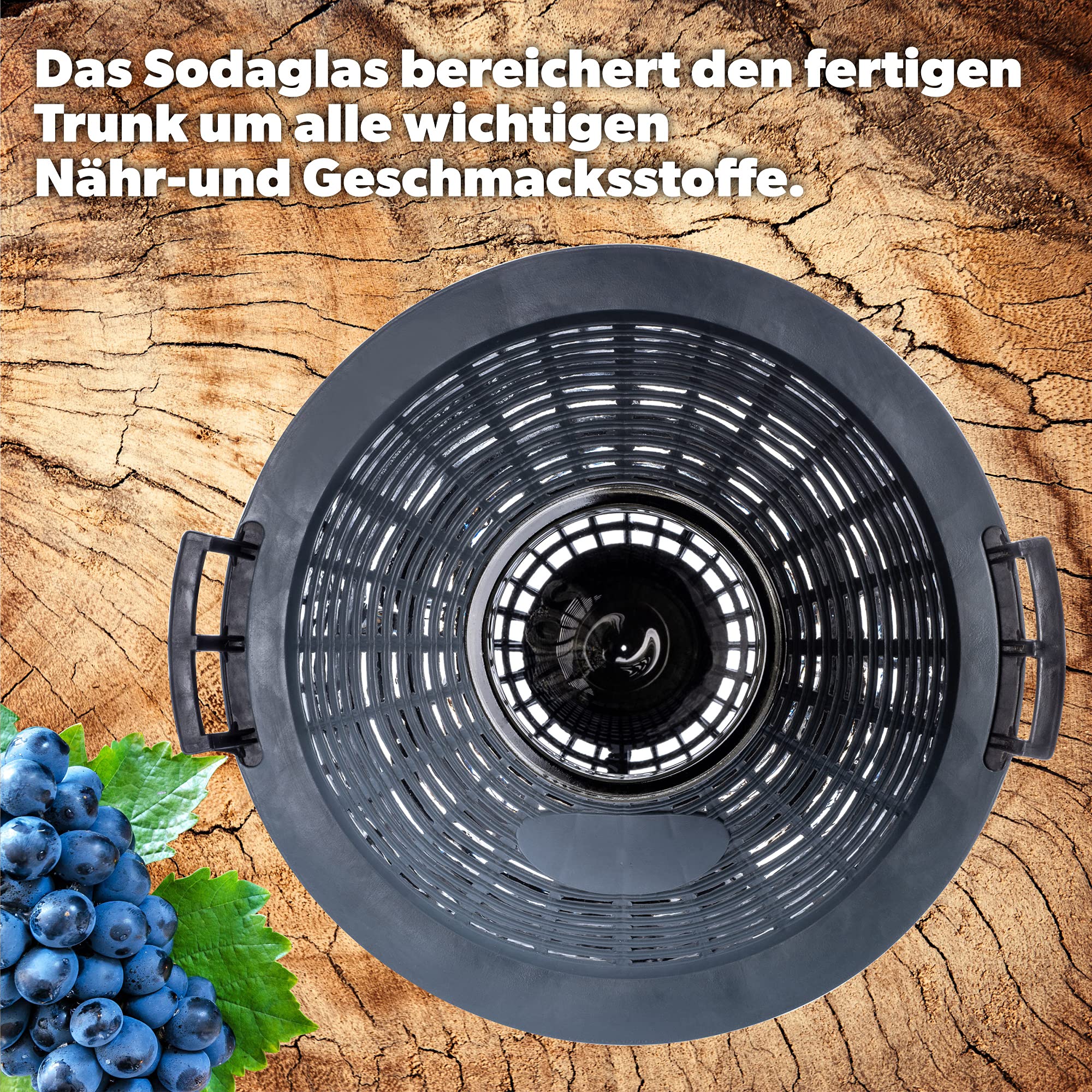 KADAX Glasballon, Palloncino di fermentazione con Cesto di plastica, Atura Ampia, Tappi in Gomma, Palloncino da Vino, Palloncino in traghetto in Vetro, Bottiglia, Bottiglia di Vetro (15L)