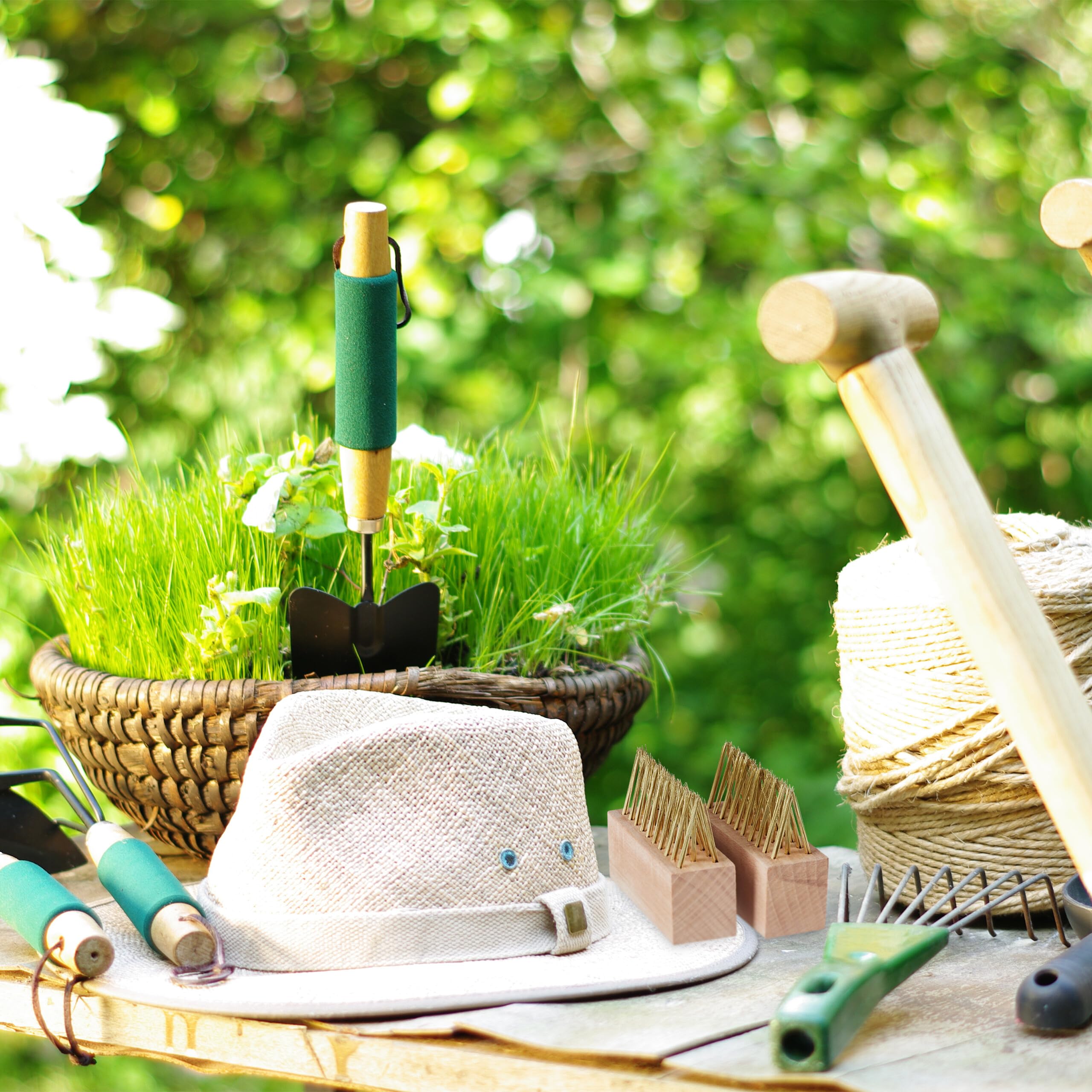 Relaxdays Spazzola per Erbacce Pulisci Fughe, Set da 6, Ricambio per Scope Rimuovi Muschio in Giardino, Naturale Ottone