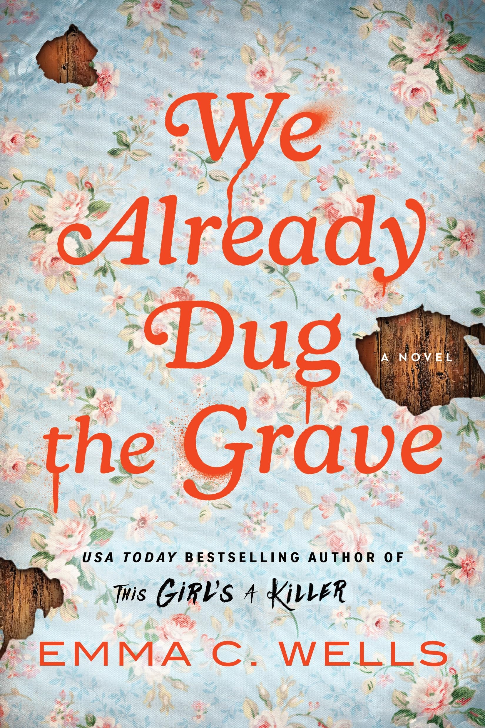 We Already Dug the Grave: A Novel