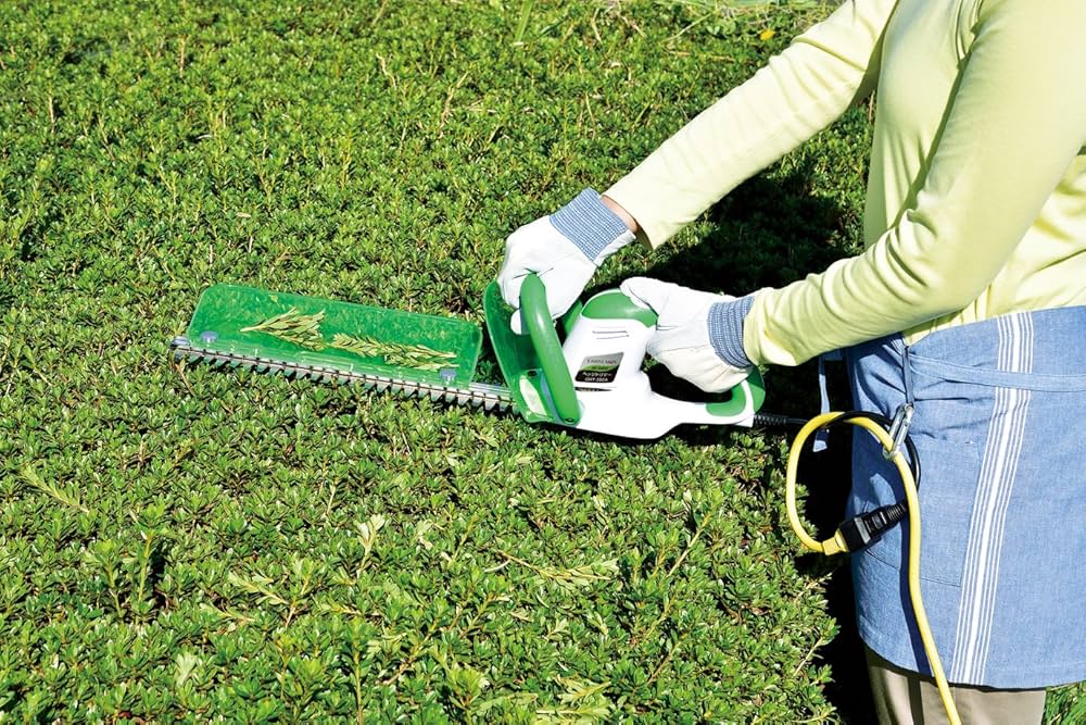 Amazon | 高儀(Takagi) EARTH MAN ヘッジトリマー 350mm GHT