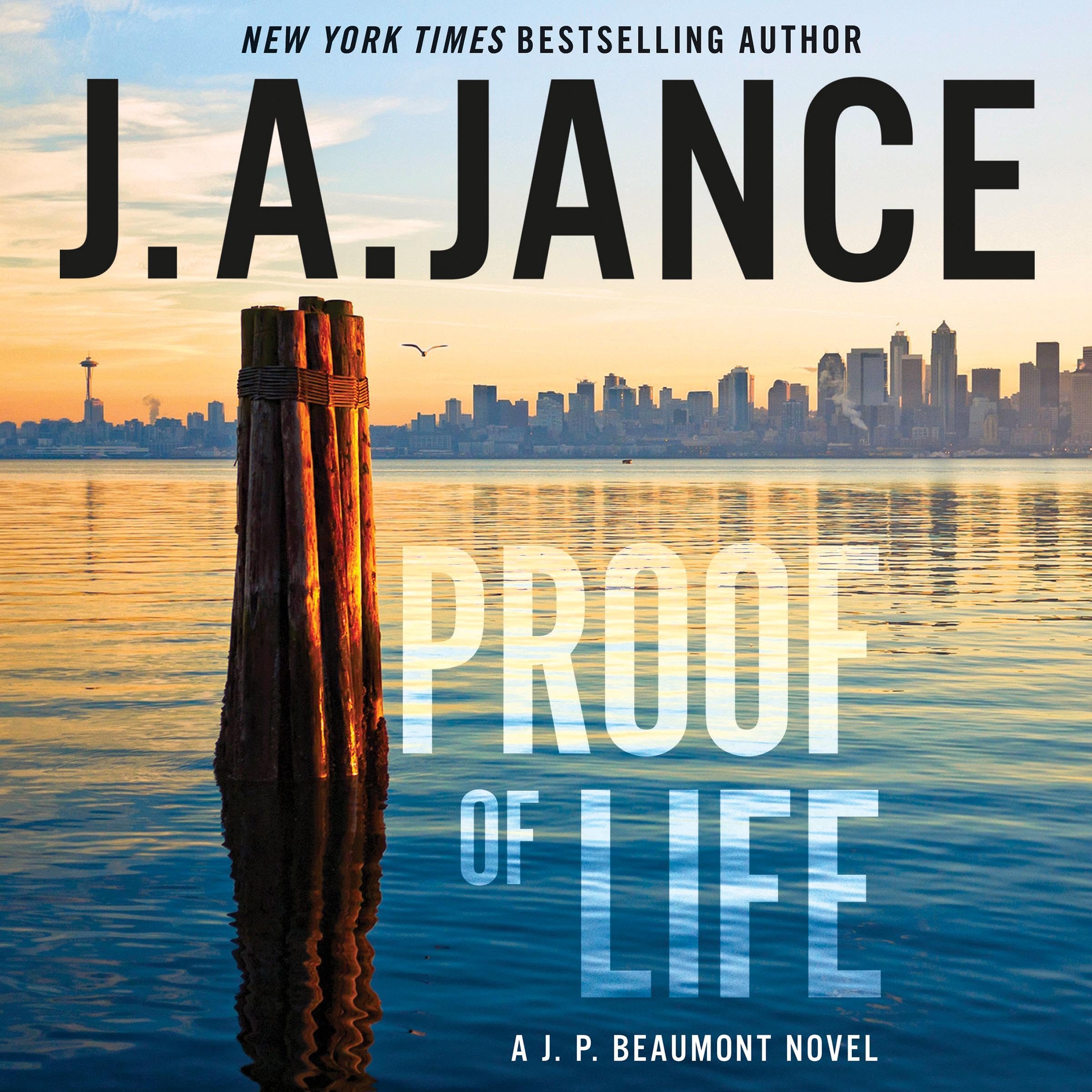 Cover art for Proof of Life