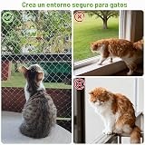 Ver la foto 6