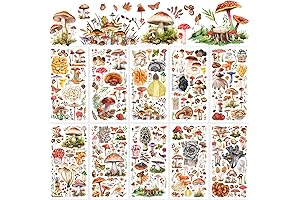 Enrich Crafts with 10 Sheets of Artistic Lincia Rub-On Transfers