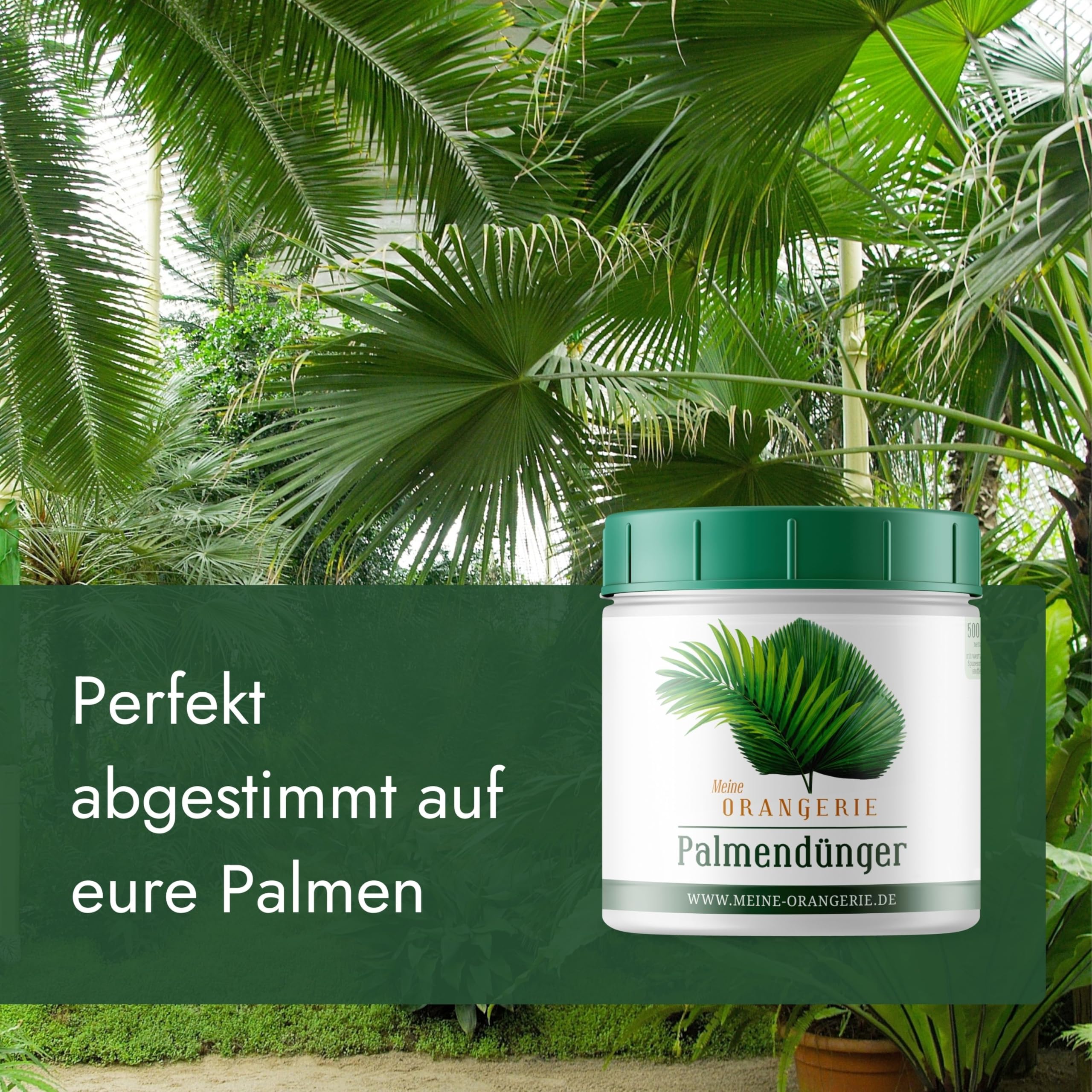 Meine Orangerie Palmendnger [500g] - Hochwirksamer Profi-Dnger - Made in  Germany - Premium Pflanzendnger fr Palmen - Konzentrierte  Nhrstoffdosierung abgestimmt auf die Bedrfnisse von Palmen : Amazon.de:  Garten