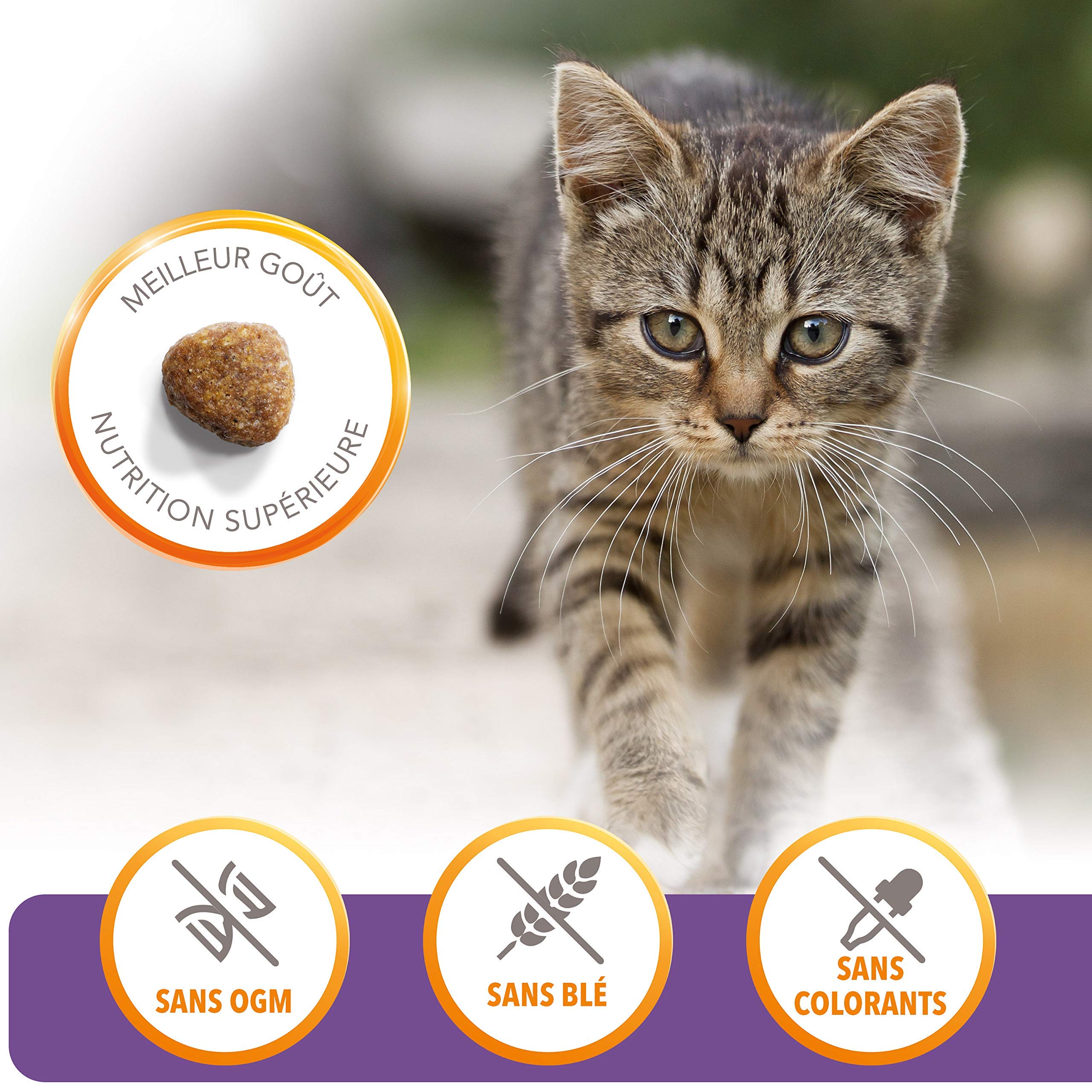 IAMS Junior sucha karma dla kotów z kurczakiem – sucha karma dla kociąt w wieku 1-12 miesięcy, 1,5 kg | Junior sucha karma dla kotów | dla młodych kotów | z wysokiej jakości białkami zwierzęcymi