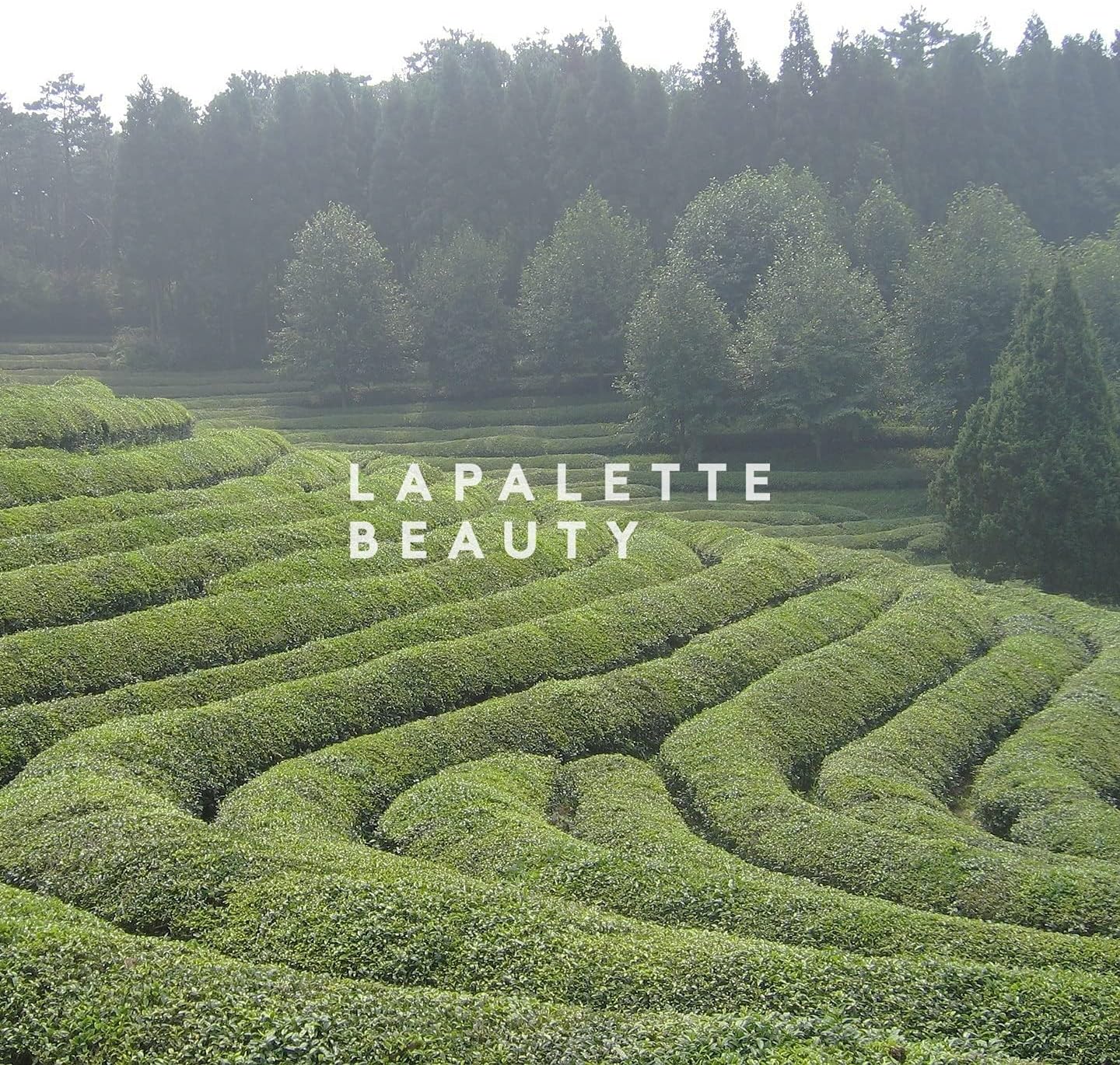 LAPALETTE Calming Green Turnover Toner | Green Tea | Hydrating & Moisturizing | Gentle Peeling with Natural Aha, Bha & PHA Ingredients | Red, Irritated Skin | Vegan | Korean Skincare 6.75fl.oz - Image 9