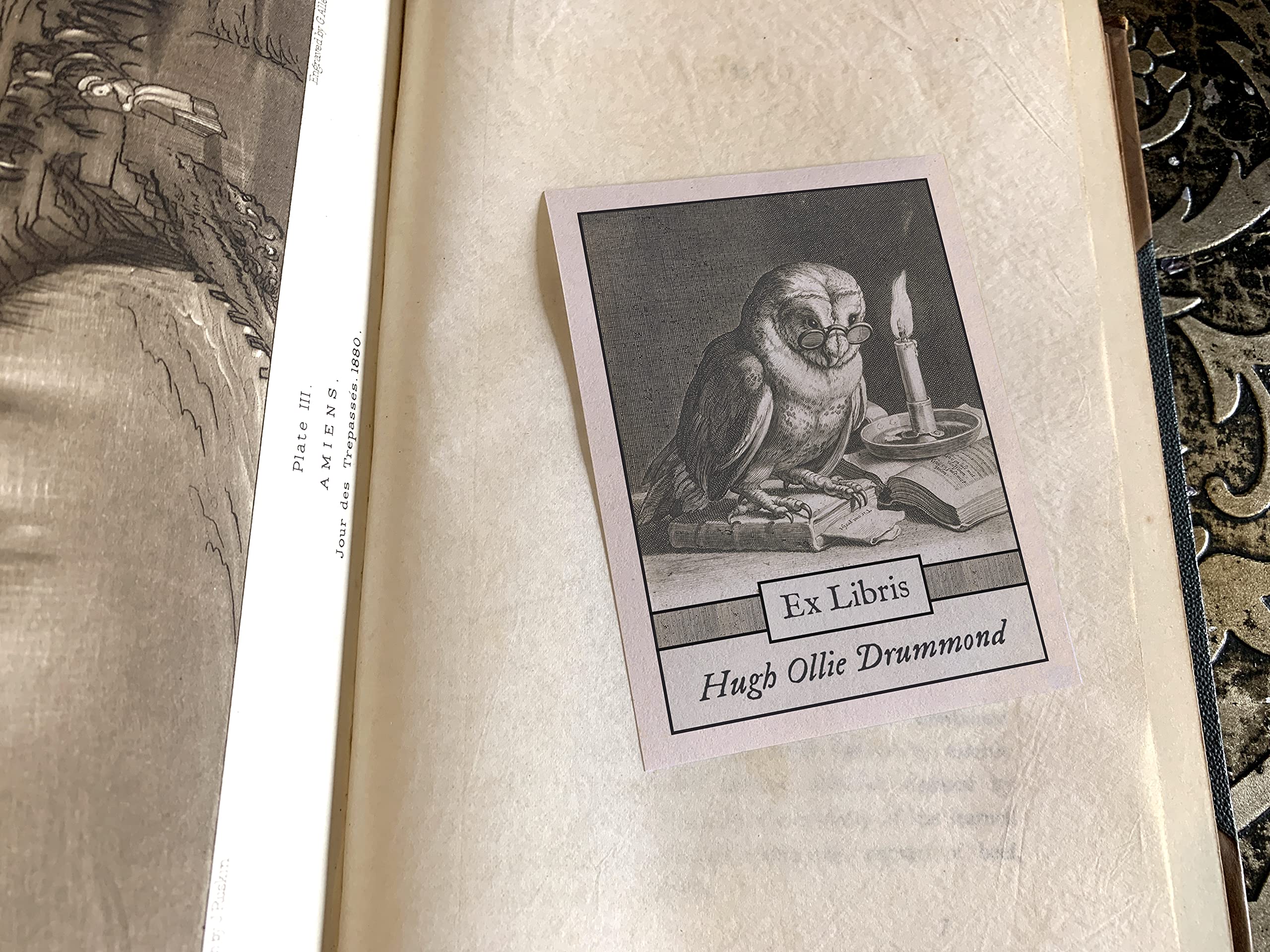 Wise Owl, Personalized Ex-Libris Bookplates, Crafted on Traditional Gummed Paper, 3in x 4in, Set of 30 (Personalized)