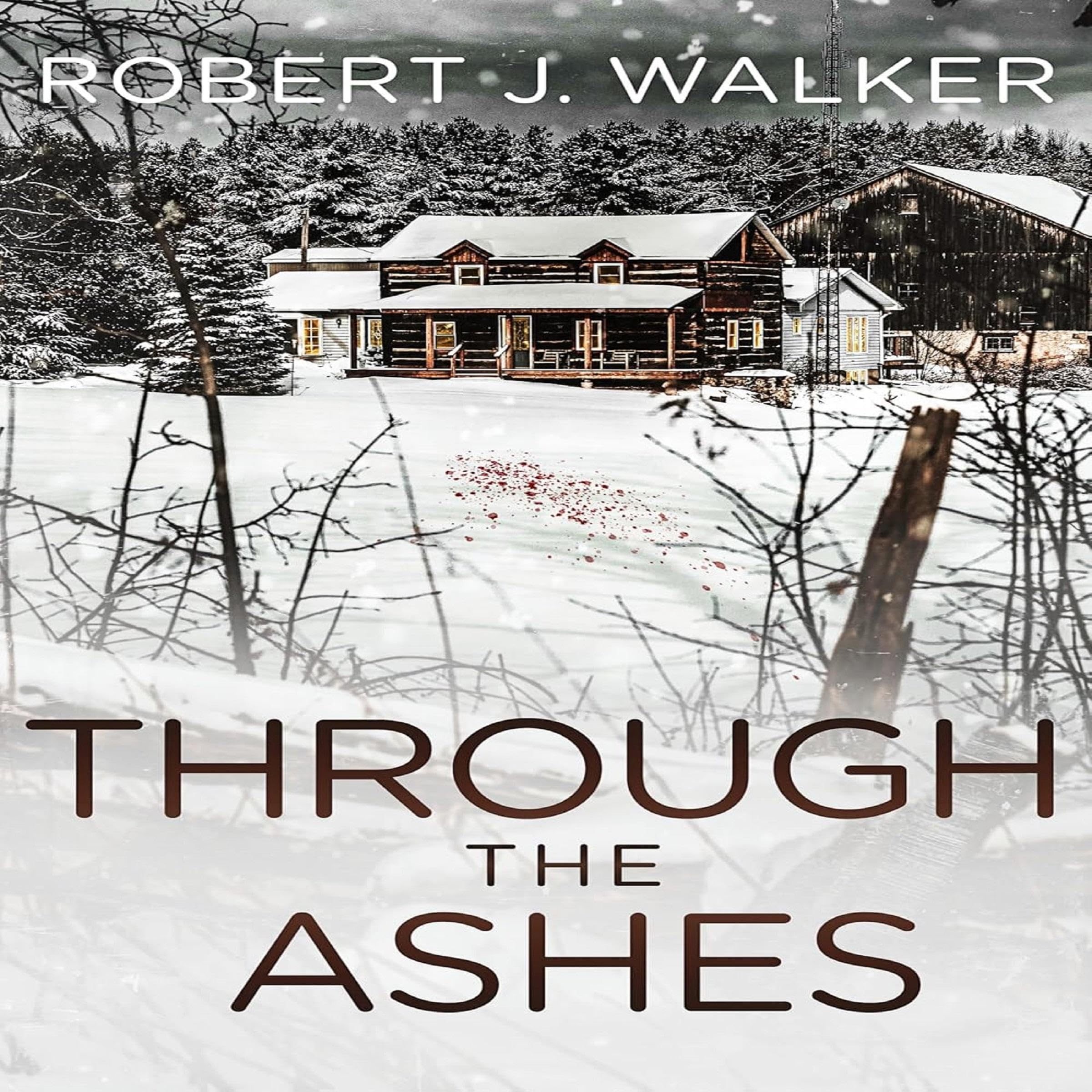 Cover art for Through the Ashes