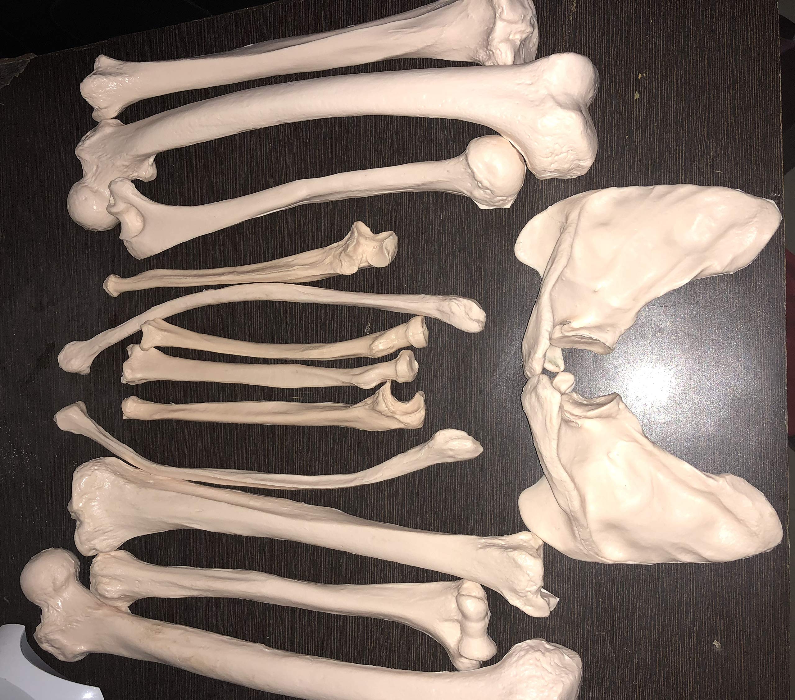 Real Bone Set
