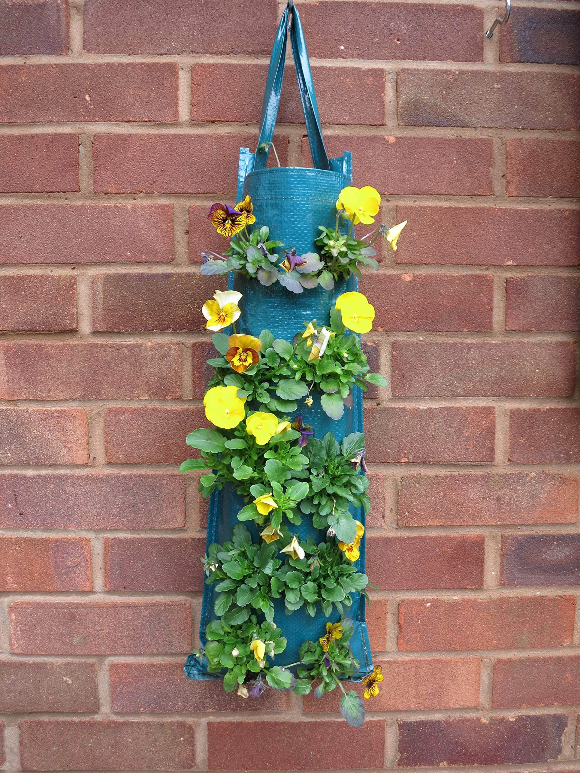 2 Pots De Fleurs Suspendus Bowry Pour Fraises - Polyéthylène Résistant - Vert