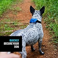 Vista 4 de Nite Ize Raddog All-in-One Collar and Leash Combo - Heavy-Duty Dog Collar with Built-in Retractable Leash - 16" to 18" Collar - Blue, Medium