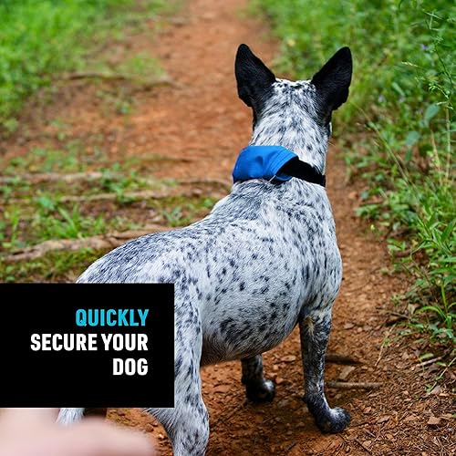 Miniatura 4 de Nite Ize Raddog - Combo de collar y correa todo en uno, collar de perro resistente con correa retráctil incorporada, collar de 20 a 25 pulgadas,