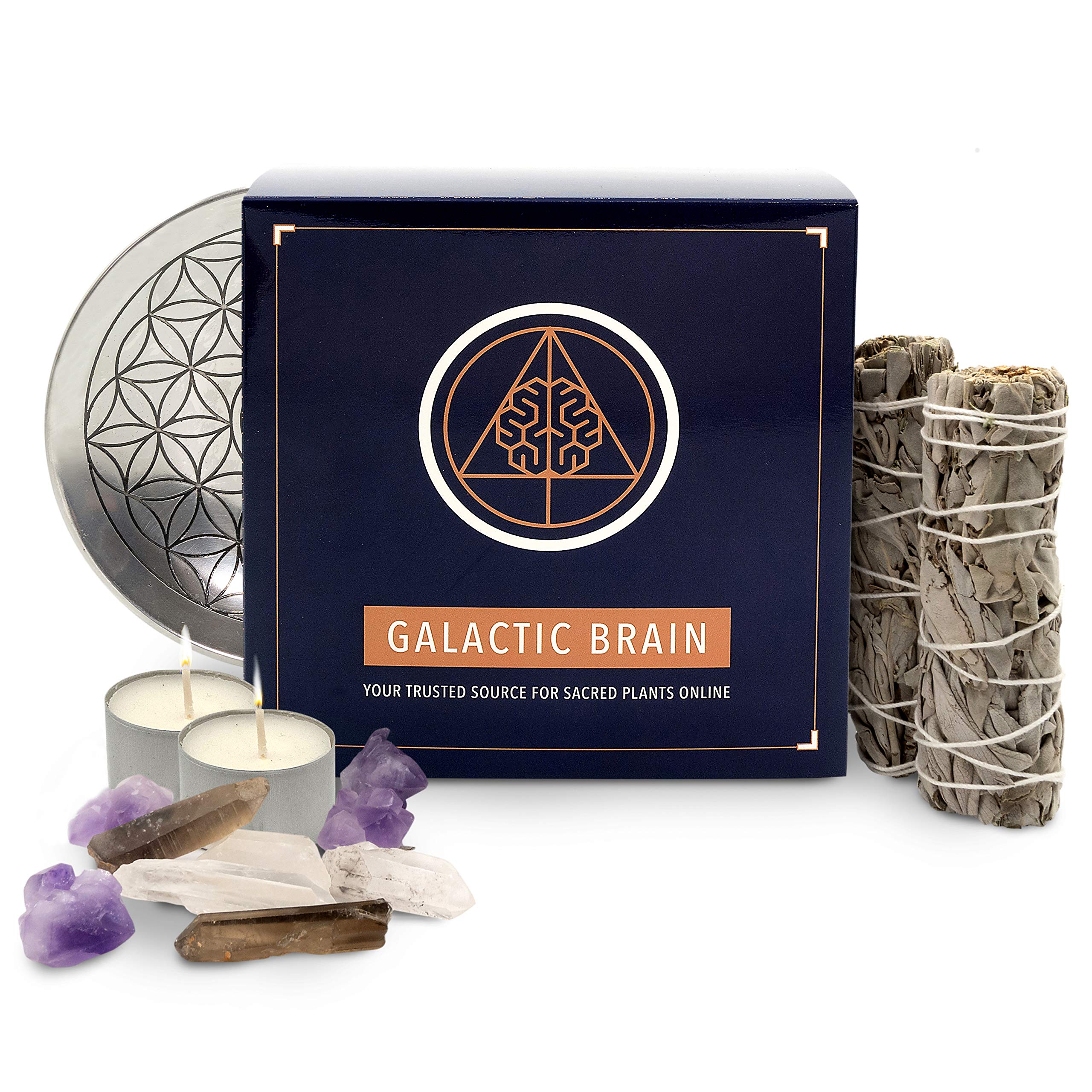 Galactic Brain White Sage Smudge Kit | Sage Bundles, Raw Crystals, Smudge Dish, and Candles | Packed in Gift Box with Instructions for Beginners…