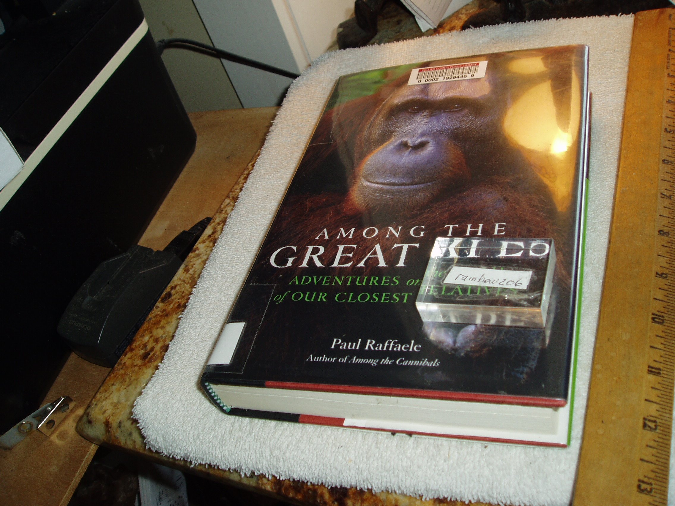 Buy Among the Great Apes: Adventures on the Trail of Our Closest Relatives — BookShops.in