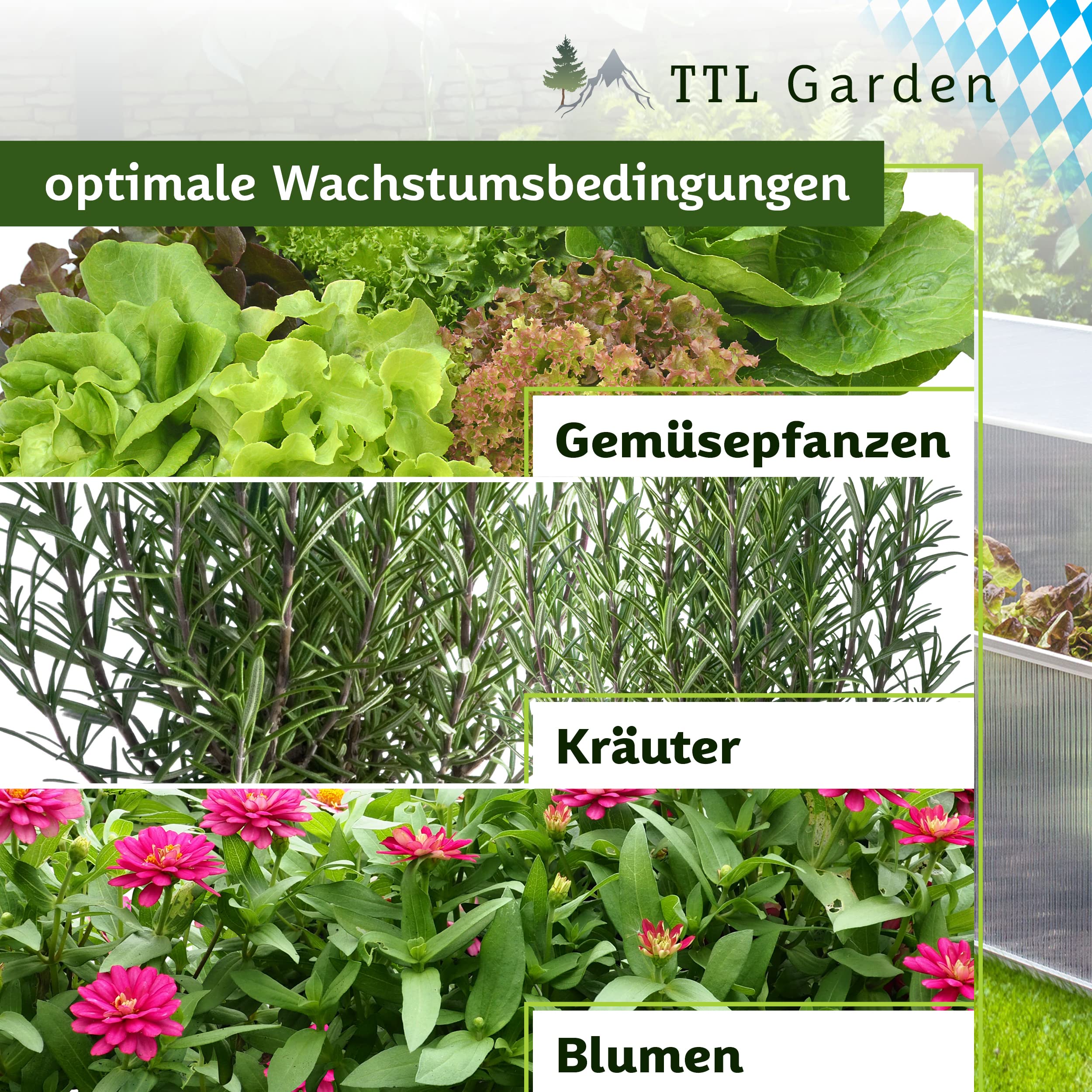 TTL GARDEN Frühbeet Aufsatz 100x60x40cm Alu & Polycarbonat - Hochbeet Kasten Mini Gewächshaus Frühbeetkasten 100 cm lang 60 cm breit, Wärme & Schutz für Pflanzen im Frühjahr, Deckel einstellbar
