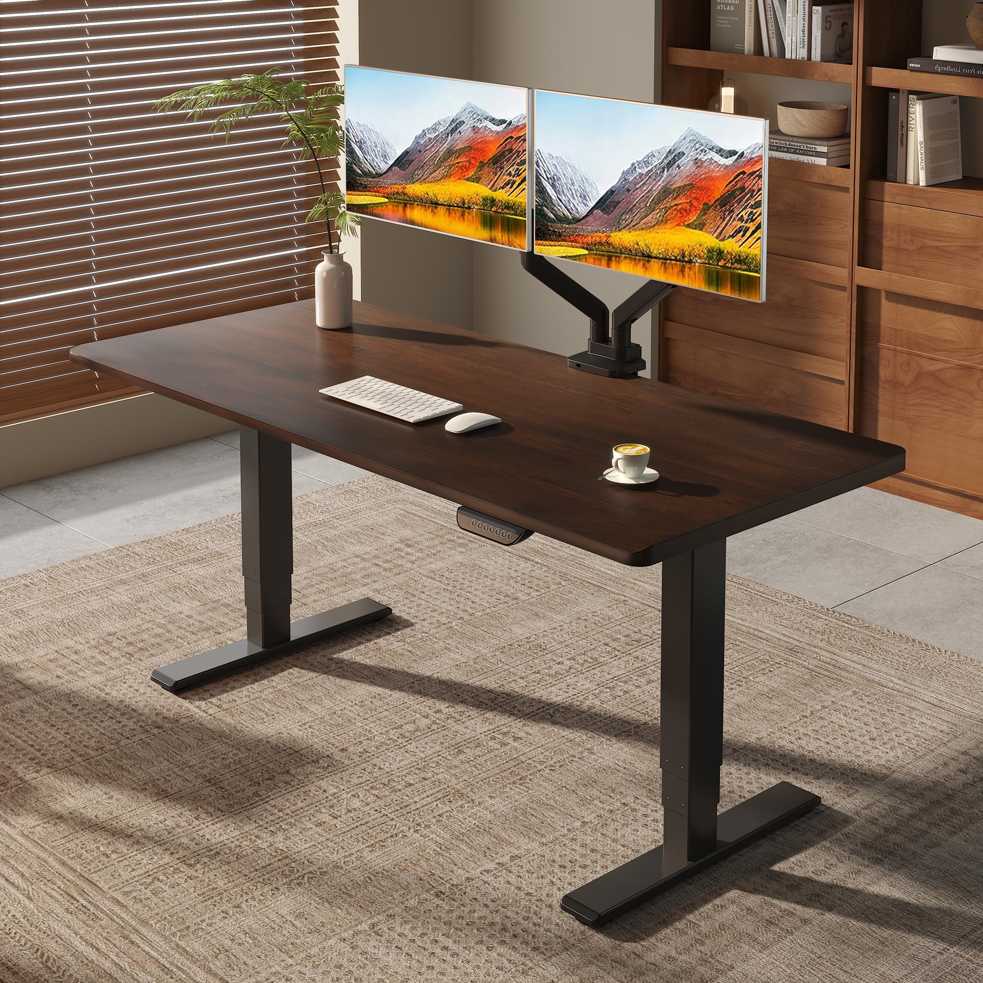 FLEXISPOT E6 MAX Solid Wood Standing Desk