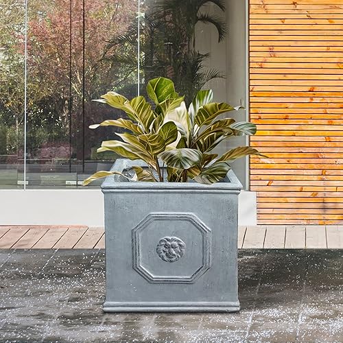 Miniatura 6 de Kante Maceta cuadrada de hormigón con cabeza de león, maceta clásica de estilo inglés con orificio de drenaje y tapón de goma para interiores y