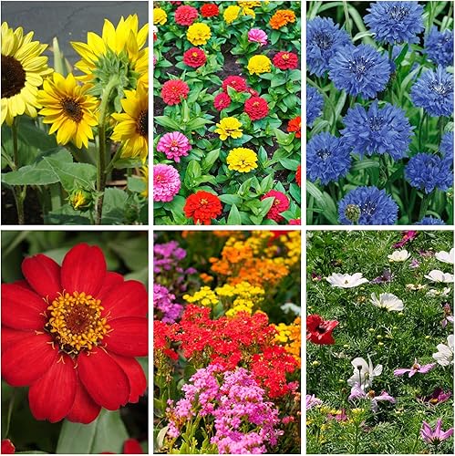 Mezcla de flores orgánicas para cortar ramos, paquete de 0.18 oz  más de 1,000 semillas, 6 variedades para atraer mariposas, abejas y otros