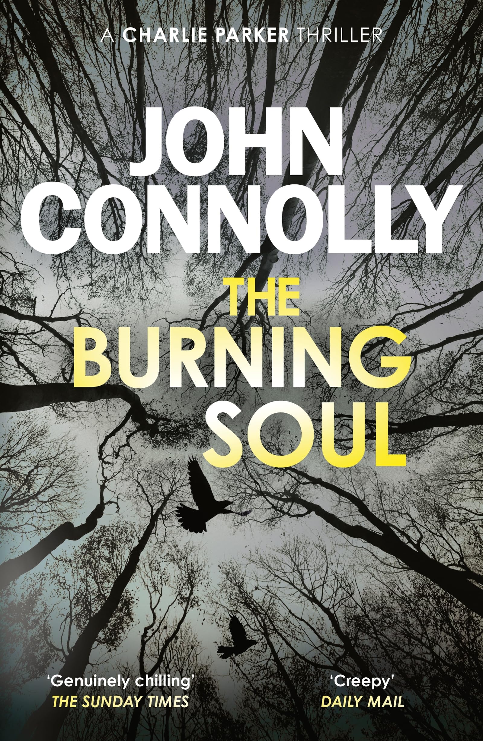 The Burning Soul: A Charlie Parker Thriller: 10-John Connolly