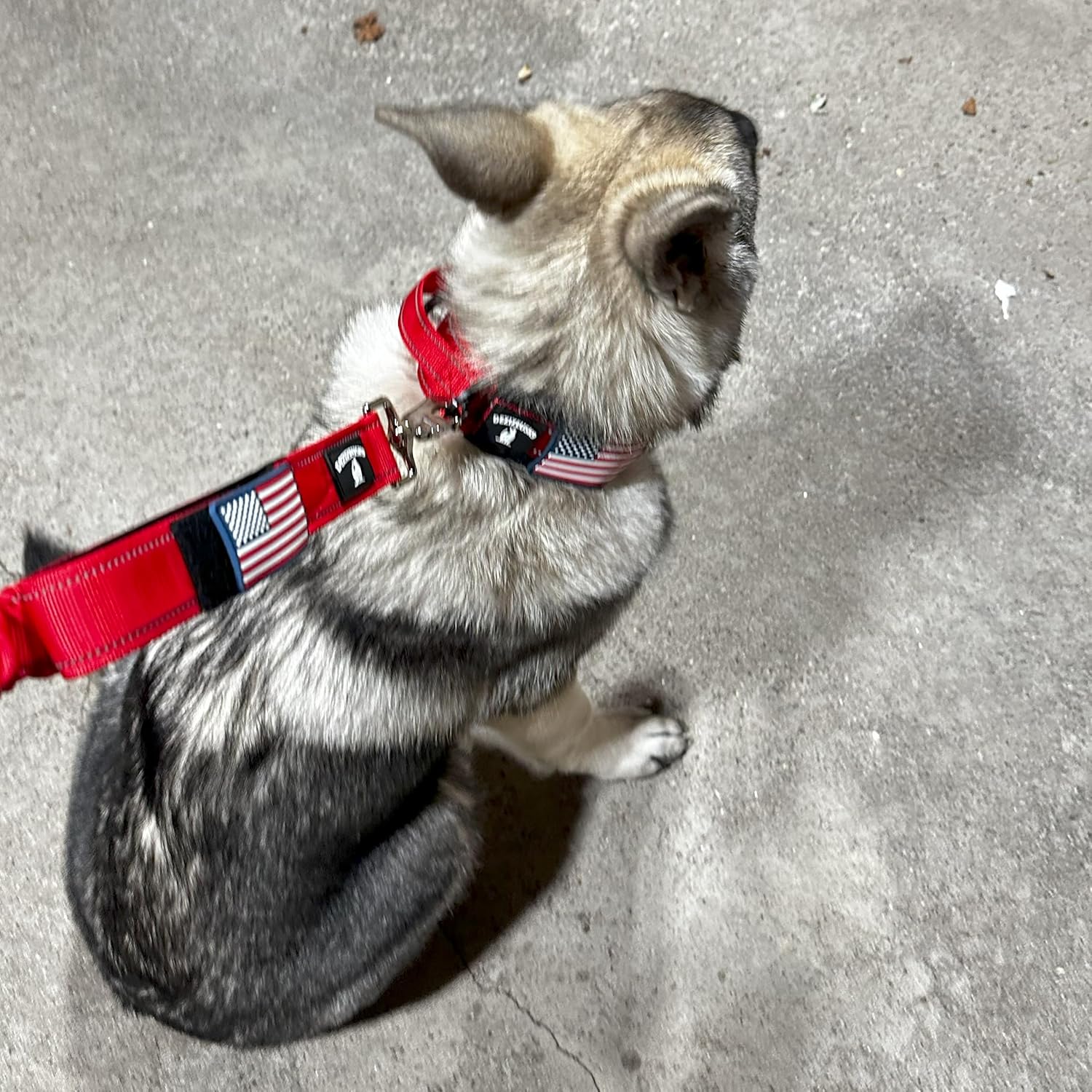 Dog Collars for Large Dogs - 2 inch Wide Dog Collar for Large Dogs Personalized Dog Collar with Metal Buckle American Flag Patch Name Plate Padded Dog Collar for Extra Large Dogs Male Female K9