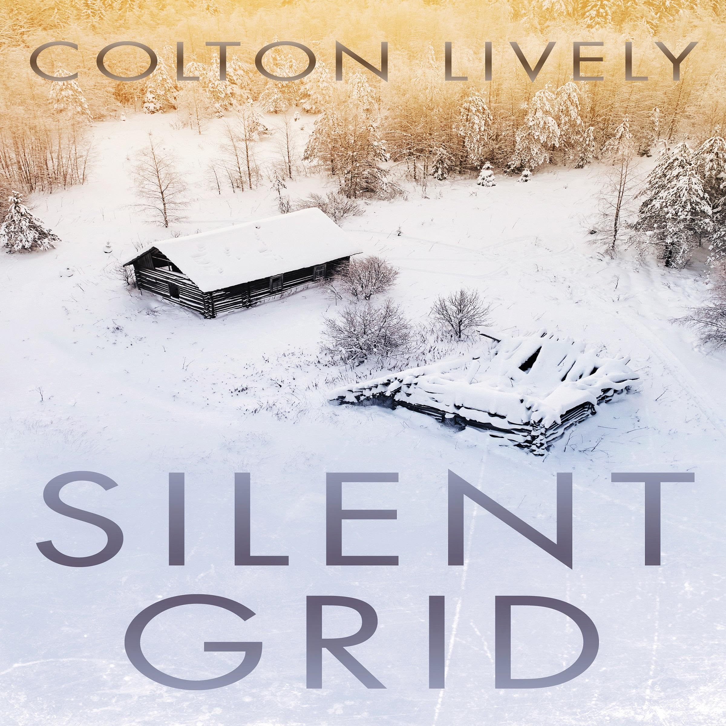 Cover art for Silent Grid