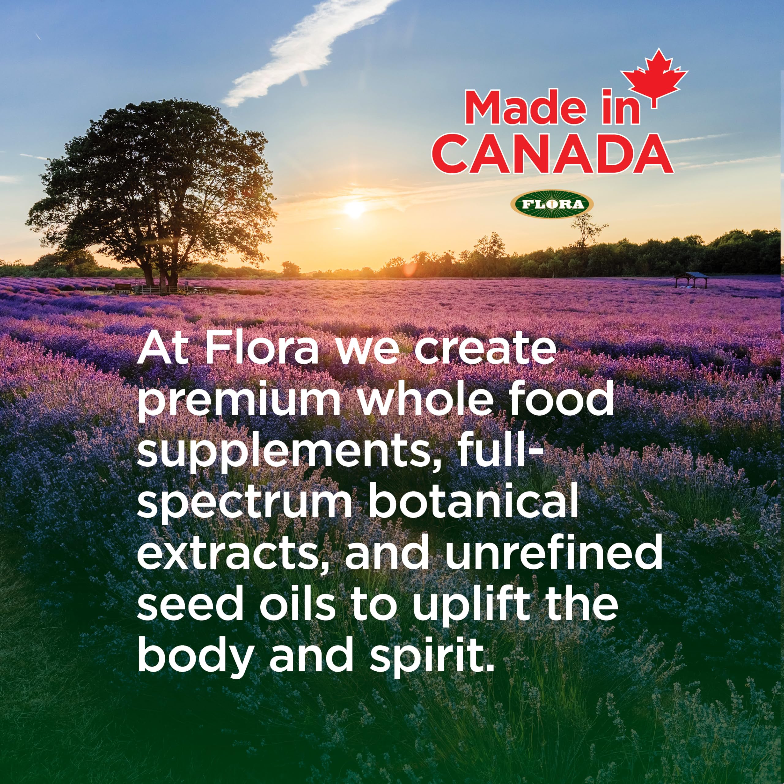 Flora Health Immediate Relief Digestive Enzymes with Lactase