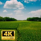 Nature Screensaver | Landscape 4K Wallpapers Slideshow, Date & Time Nature Backgrounds Screensaver | Calendar Green Nature Screensaver