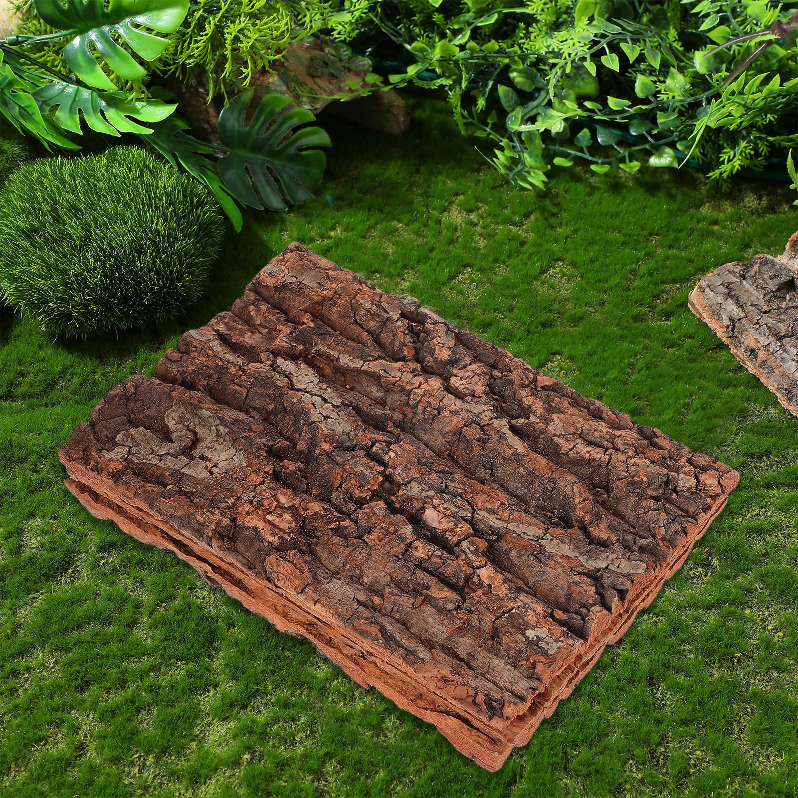 Gatuida Corteza de Árbol Decorativa para Terrarios 3 Piezas Plataforma de Escalada Efecto Natural Adecuado para Lagartos y Tortugas Pequeñas