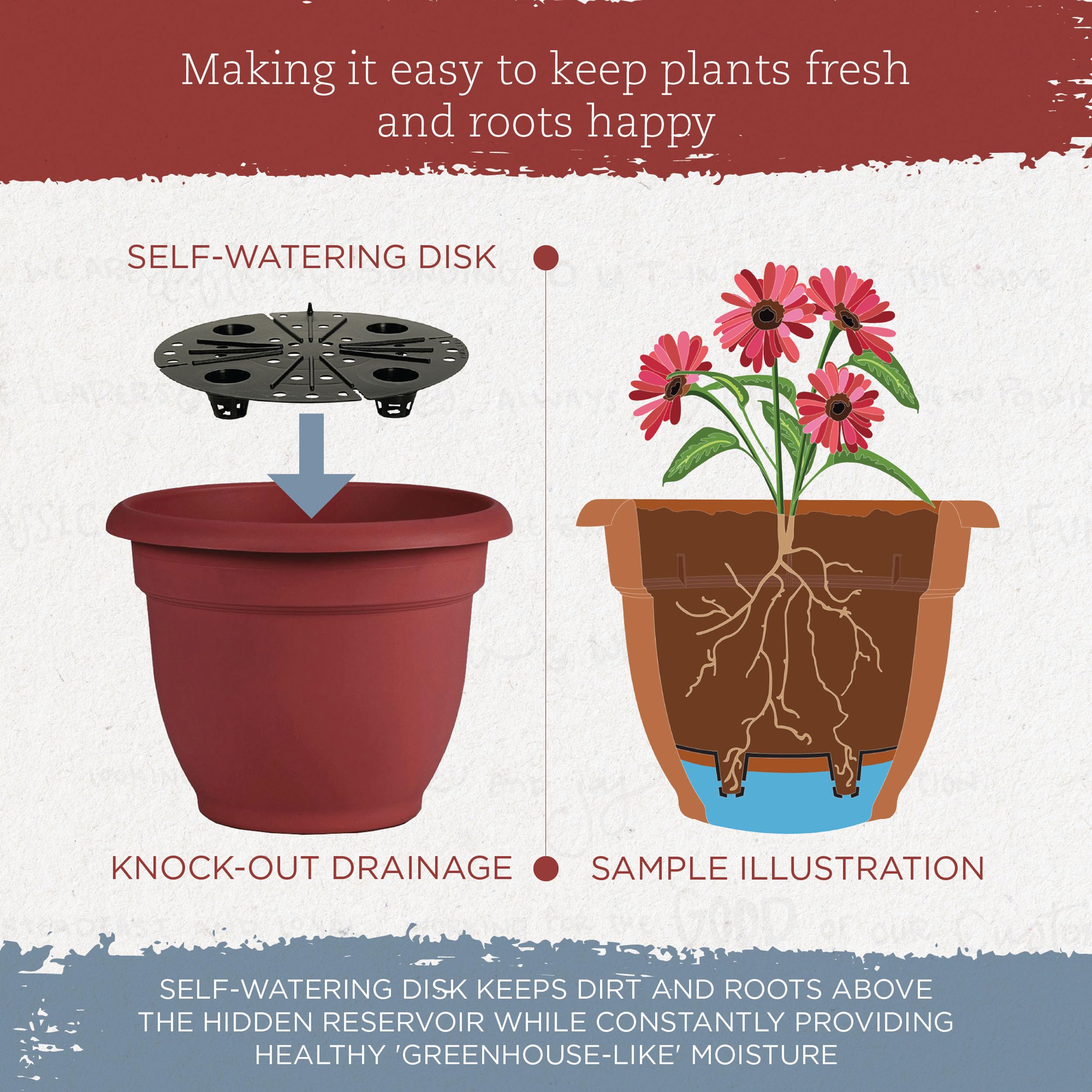 Amazon.com : Bloem AP1013 Ariana Self Watering Planter 10" Burnt Red :  Patio, Lawn & Garden