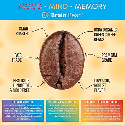 Miniatura 3 de Café orgánico Brain Bean  Sabor suave y tostado medio rico  Alto contenido de antioxidantes y certificado orgánico USDA para apoyo cognitivo, mejora
