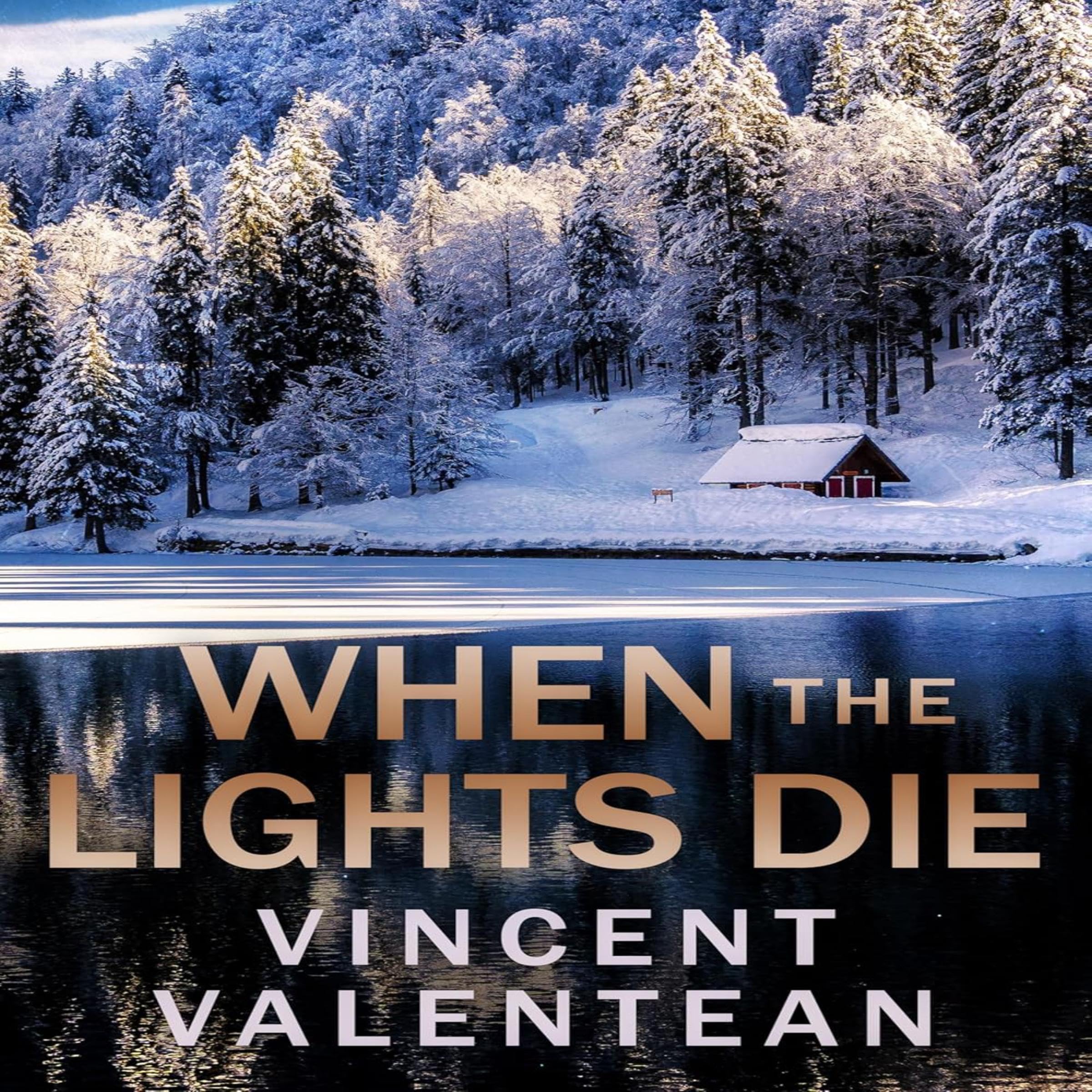 Cover art for When the Lights Die