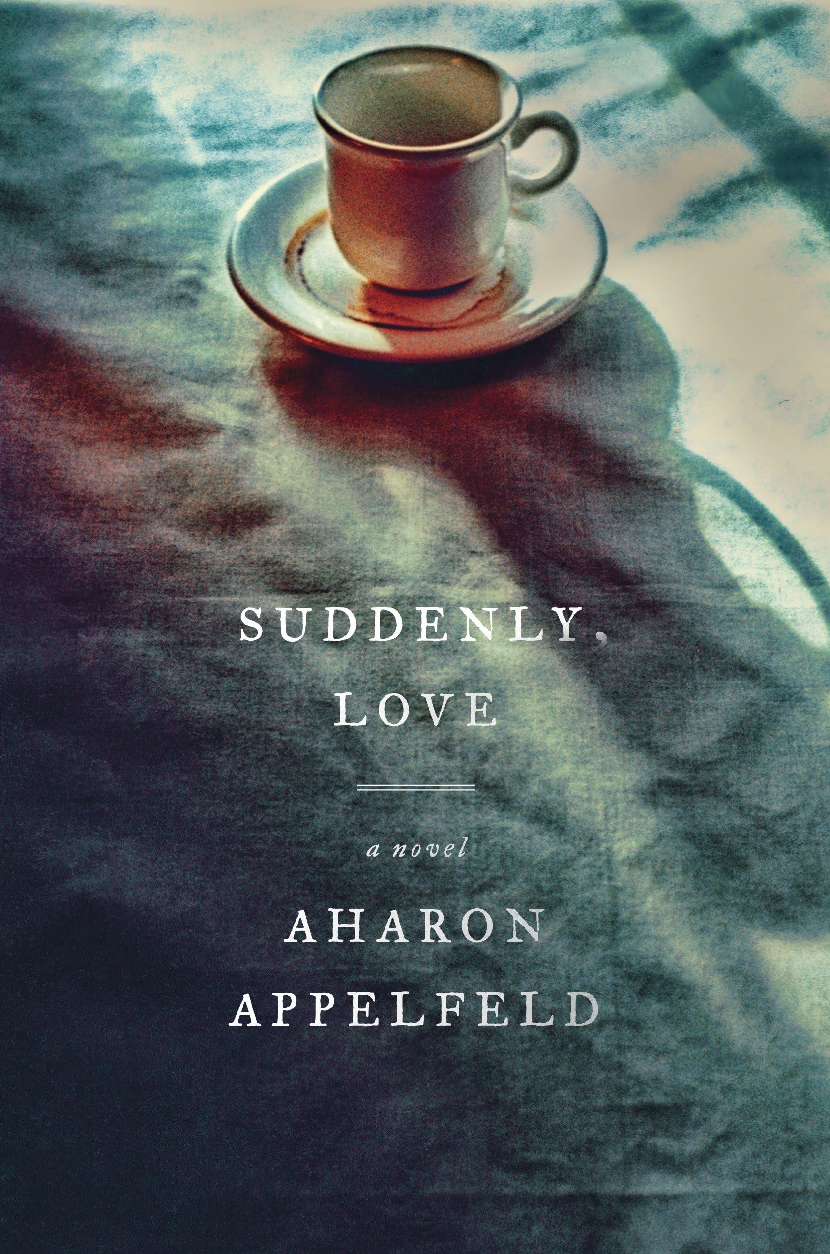 Buy Suddenly, Love: A Novel — BookShops.in