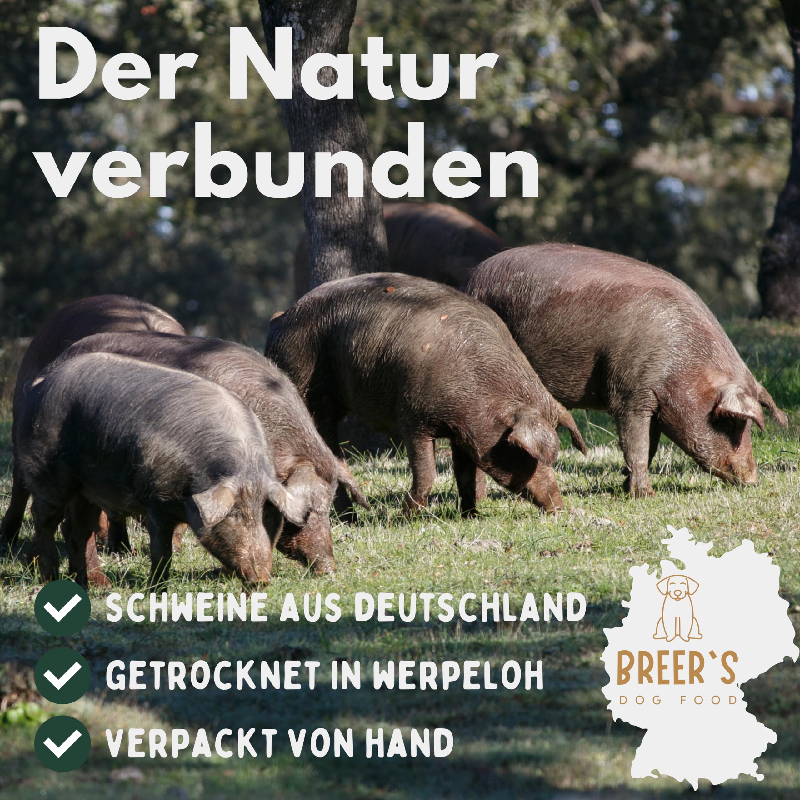 BREERs Getrocknete Schweinenasen 5 kg – Kauartikel & Hundesnack für Hunde, Zahnpflege, getreidefrei, schonend getrocknet