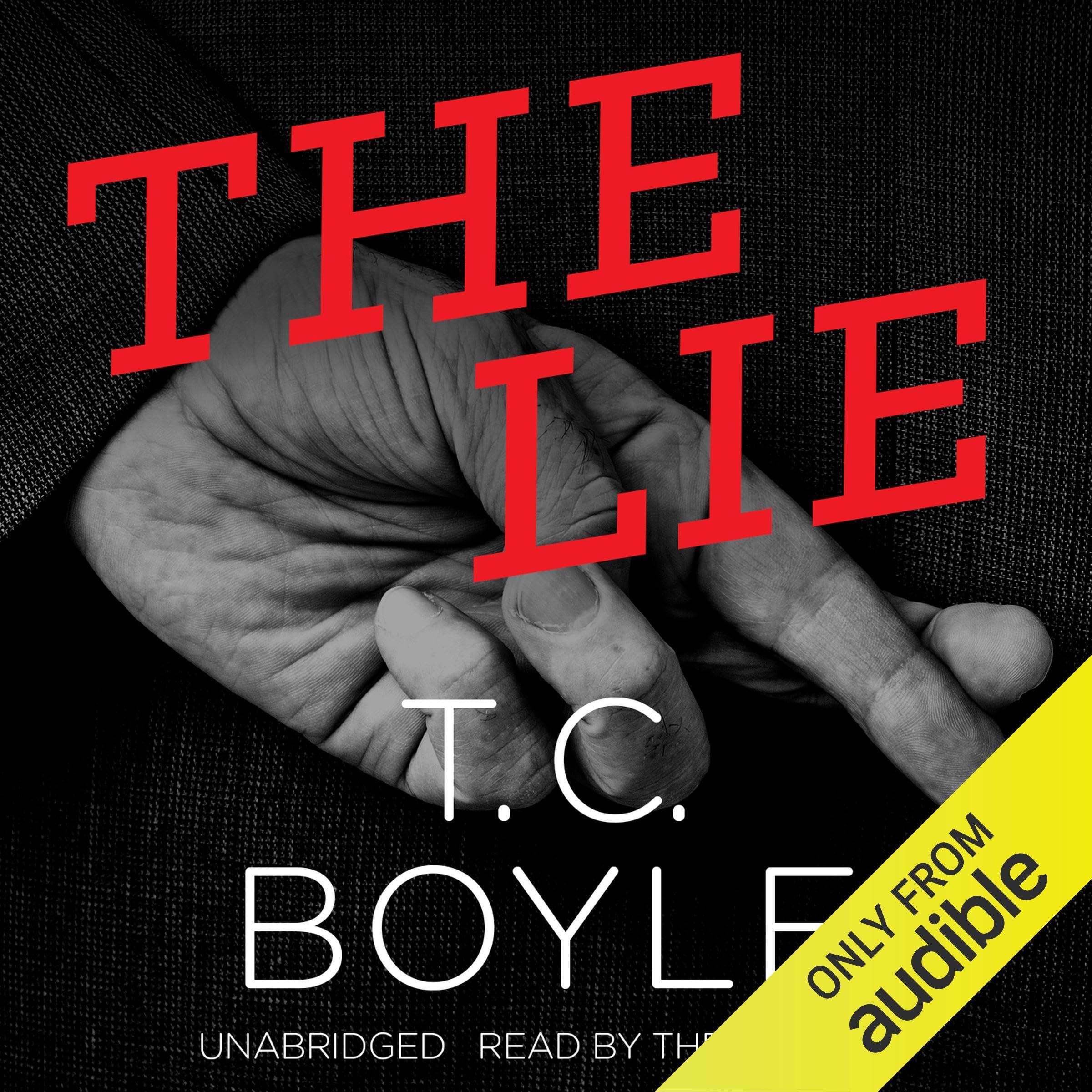 Cover art for The Lie