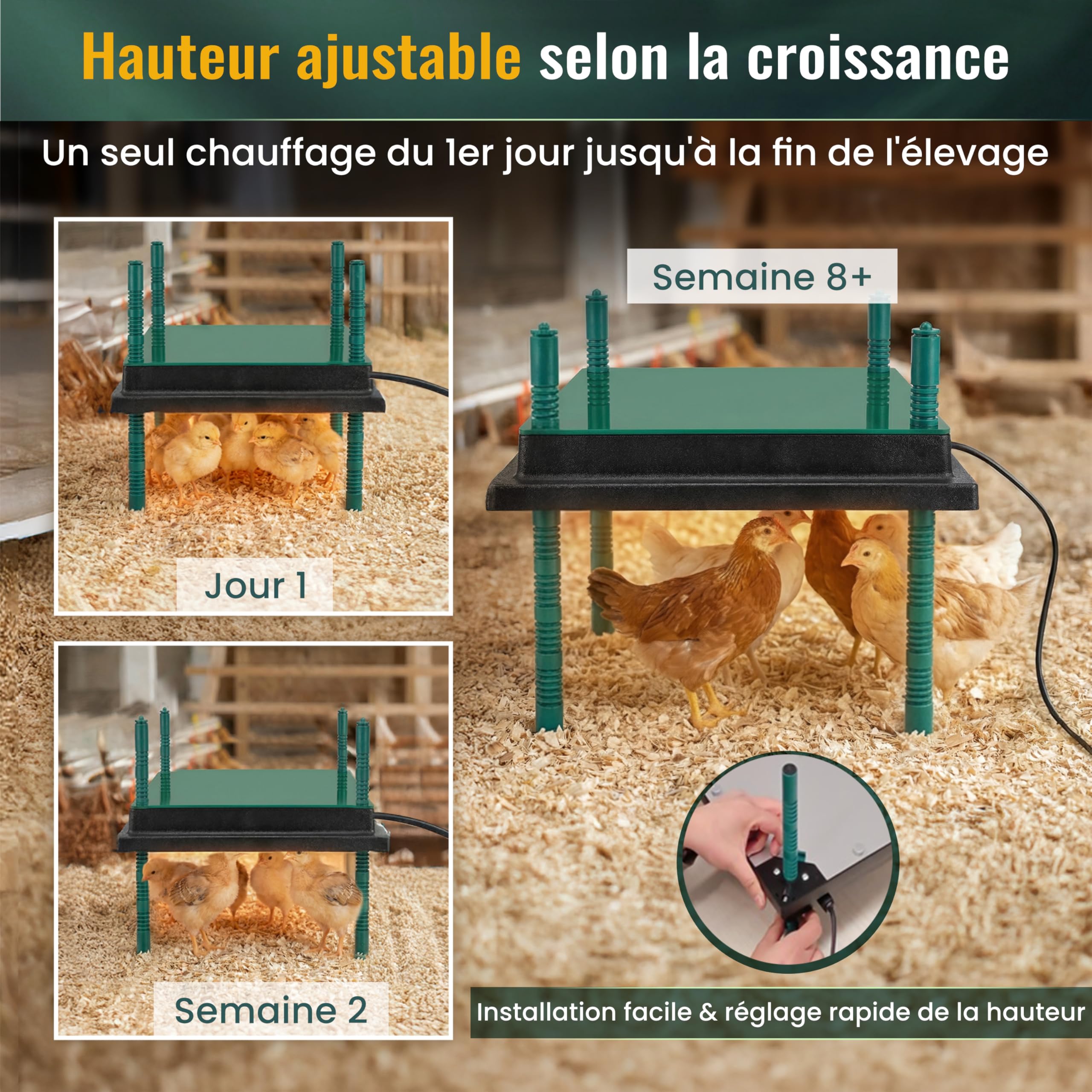 Dural’s® Plaque Chauffante Poussin 35x35 cm - 80% d'Économie d'Énergie (30W) - Chaleur Douce Anti-Stress - Couvercle de Protection Inclus - Hauteur Réglable (25-30 Poussins) + E-Book